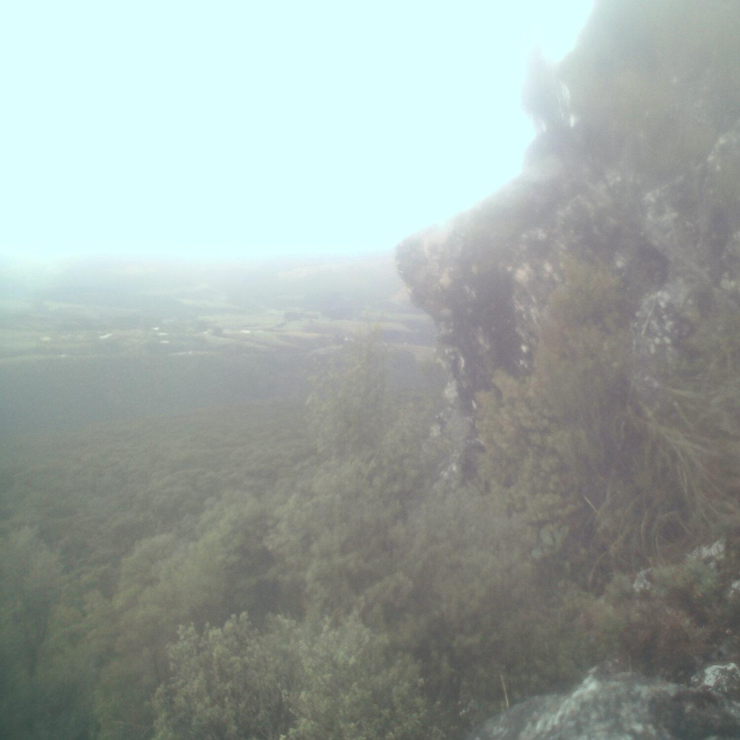 A photo captured from the webcam at the time the audio was recorded