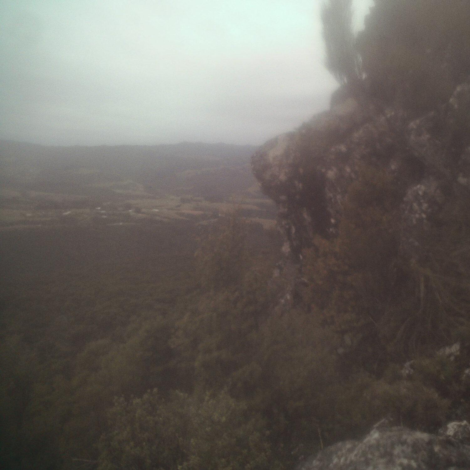 A photo captured from the webcam at the time the audio was recorded