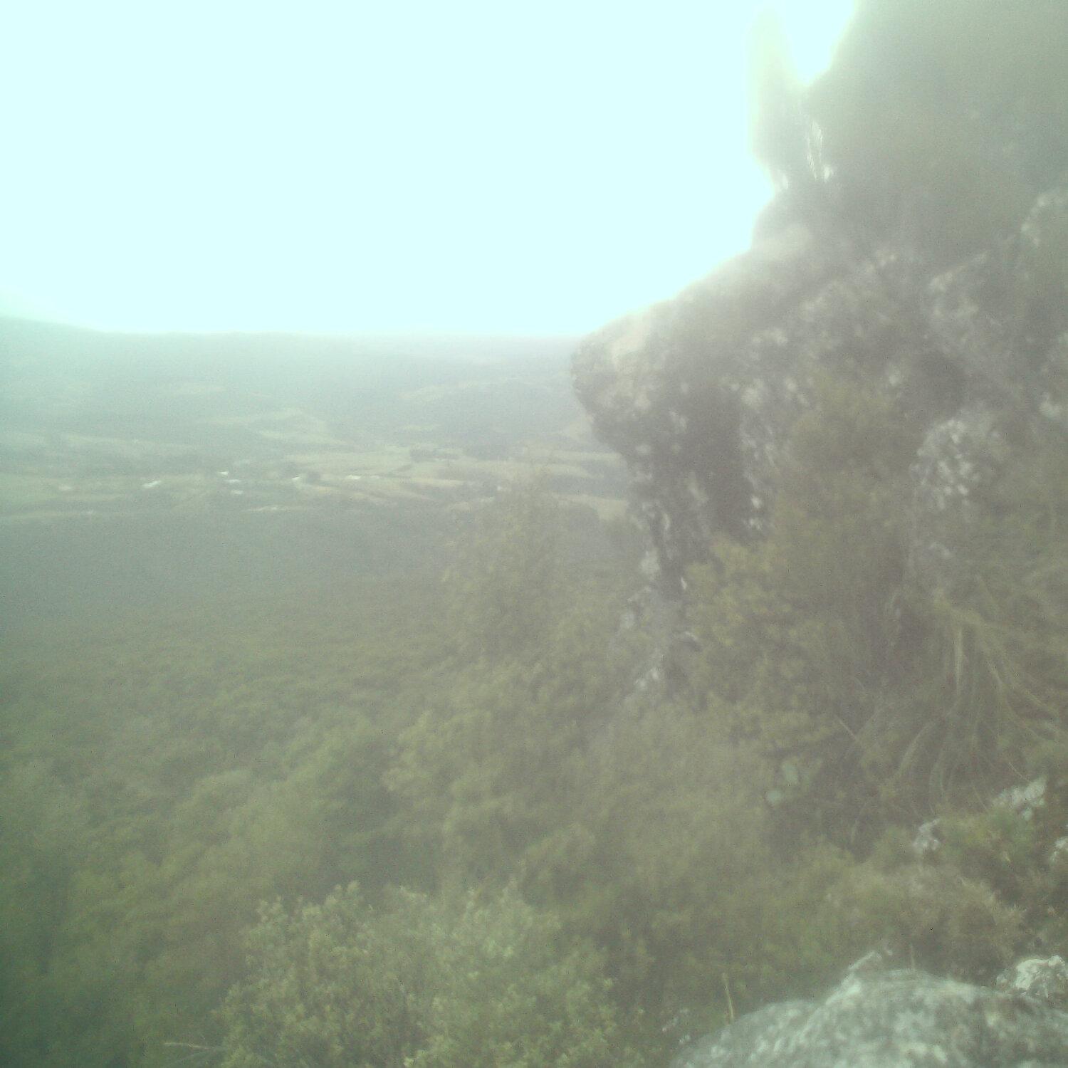 A photo captured from the webcam at the time the audio was recorded