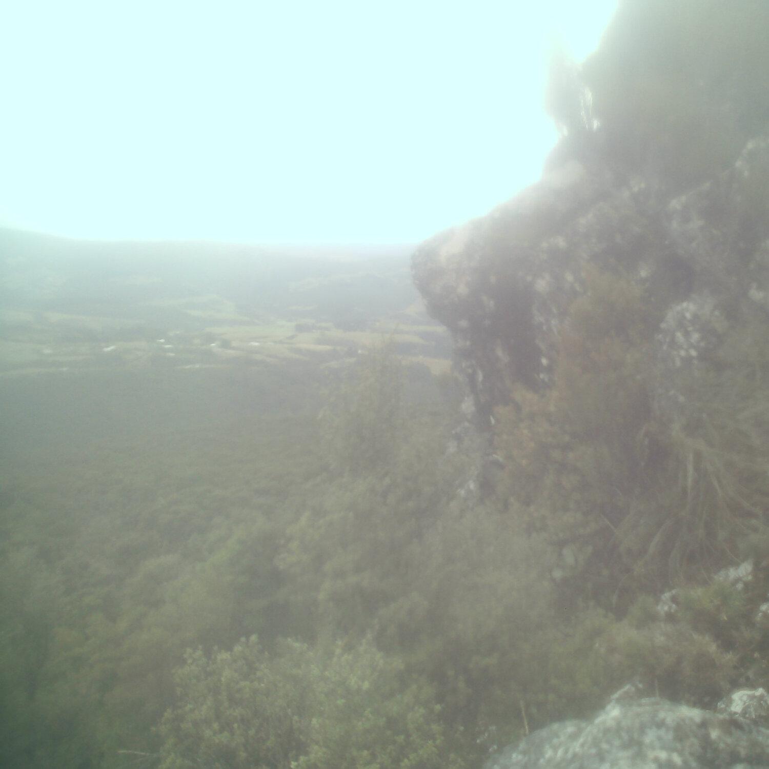 A photo captured from the webcam at the time the audio was recorded