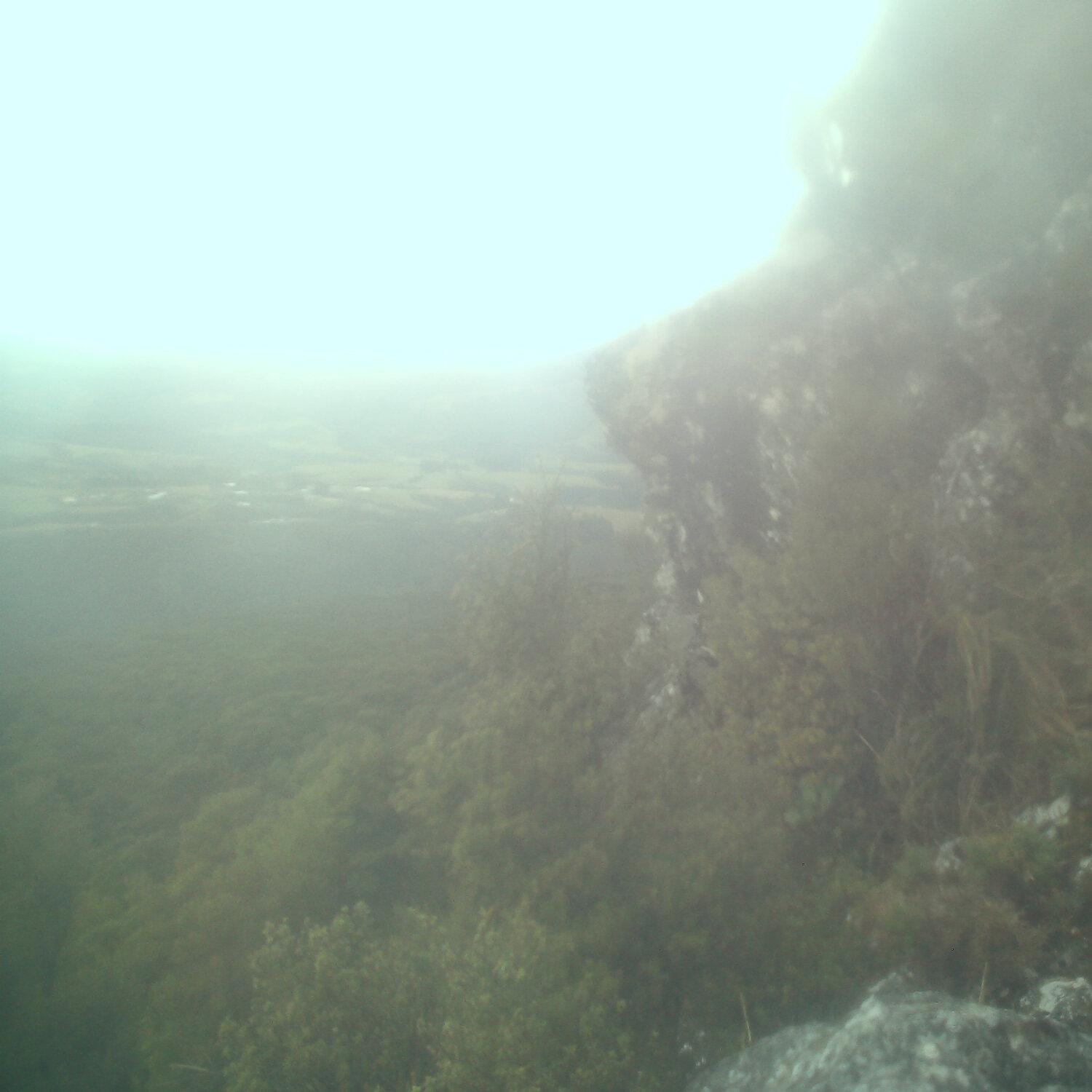 A photo captured from the webcam at the time the audio was recorded