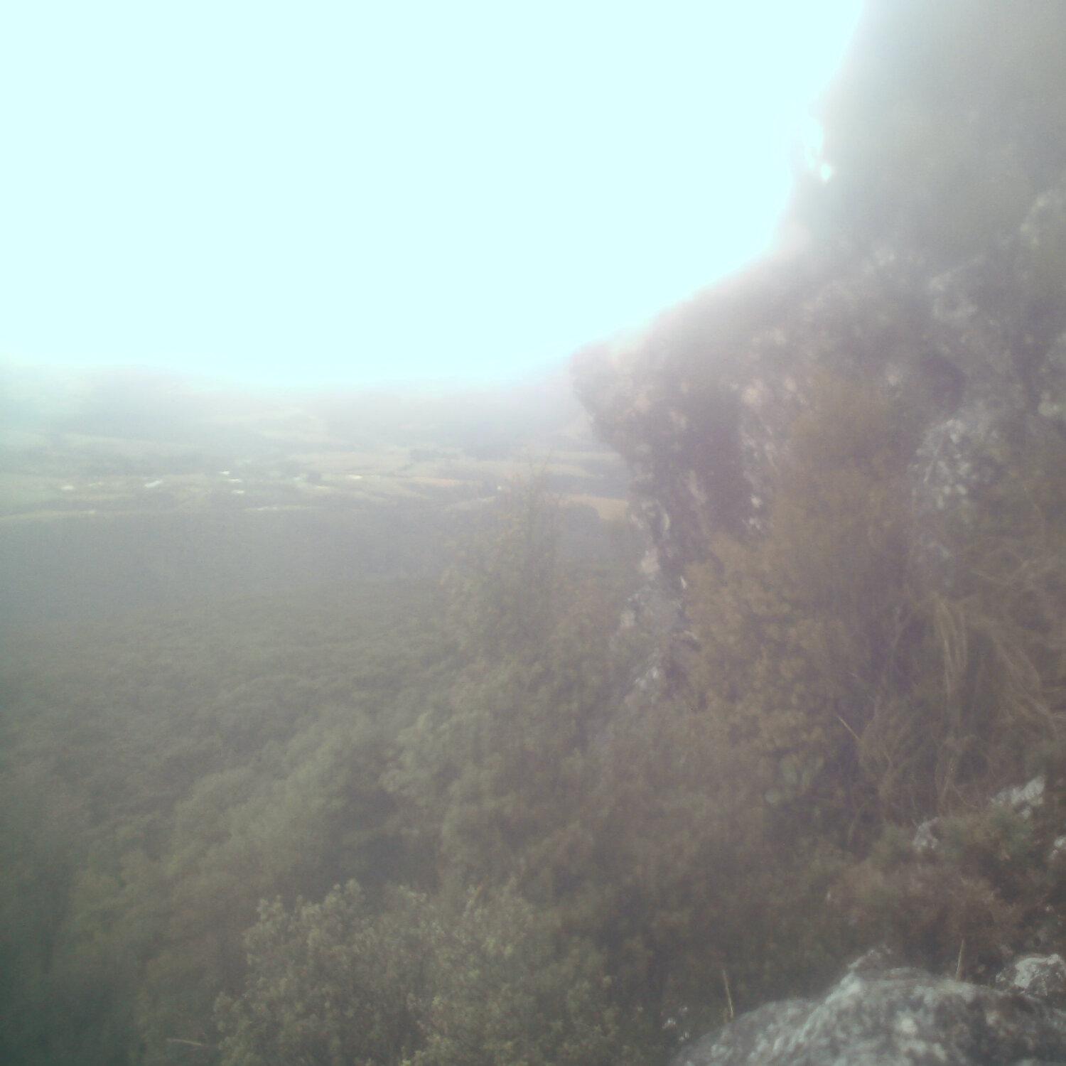 A photo captured from the webcam at the time the audio was recorded