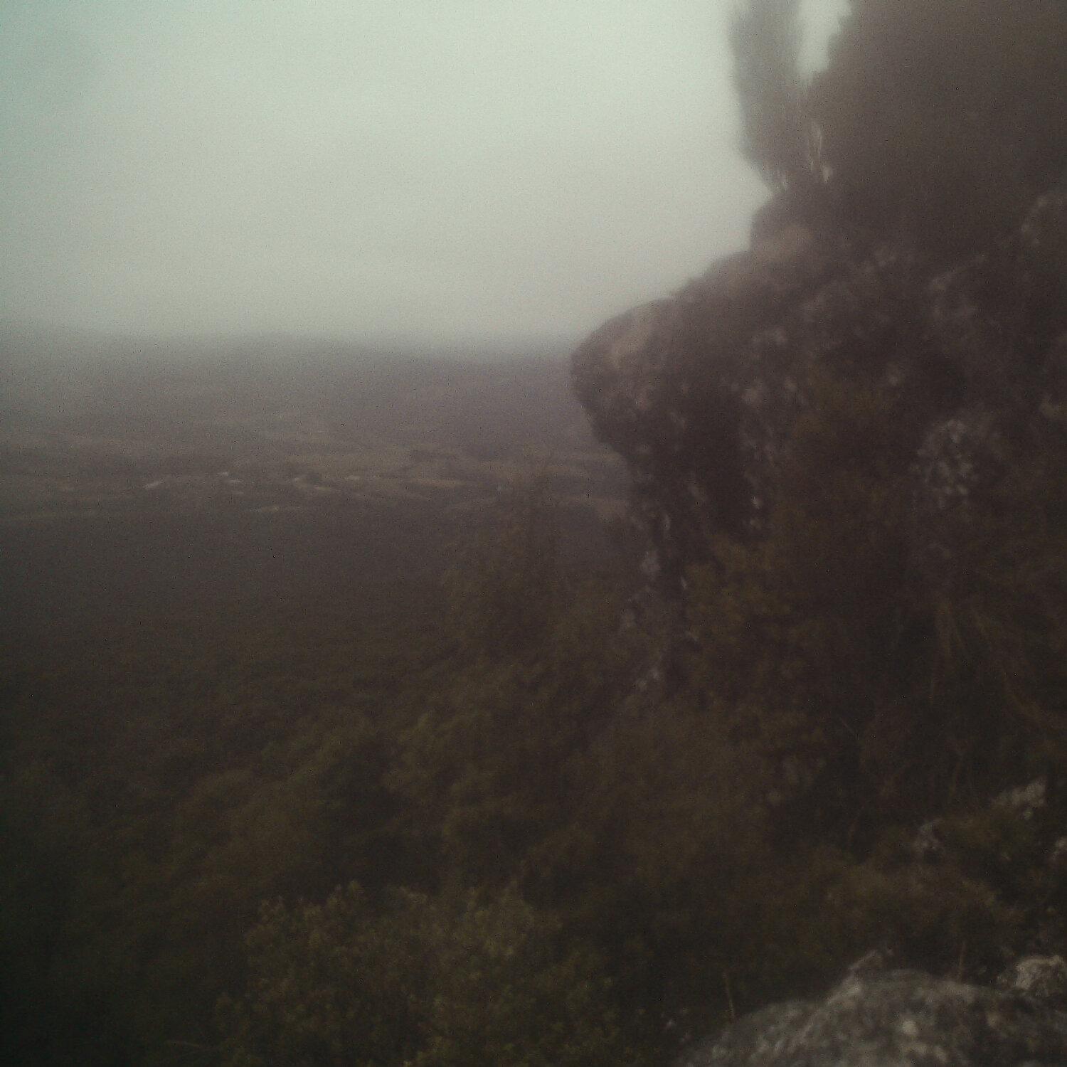 A photo captured from the webcam at the time the audio was recorded