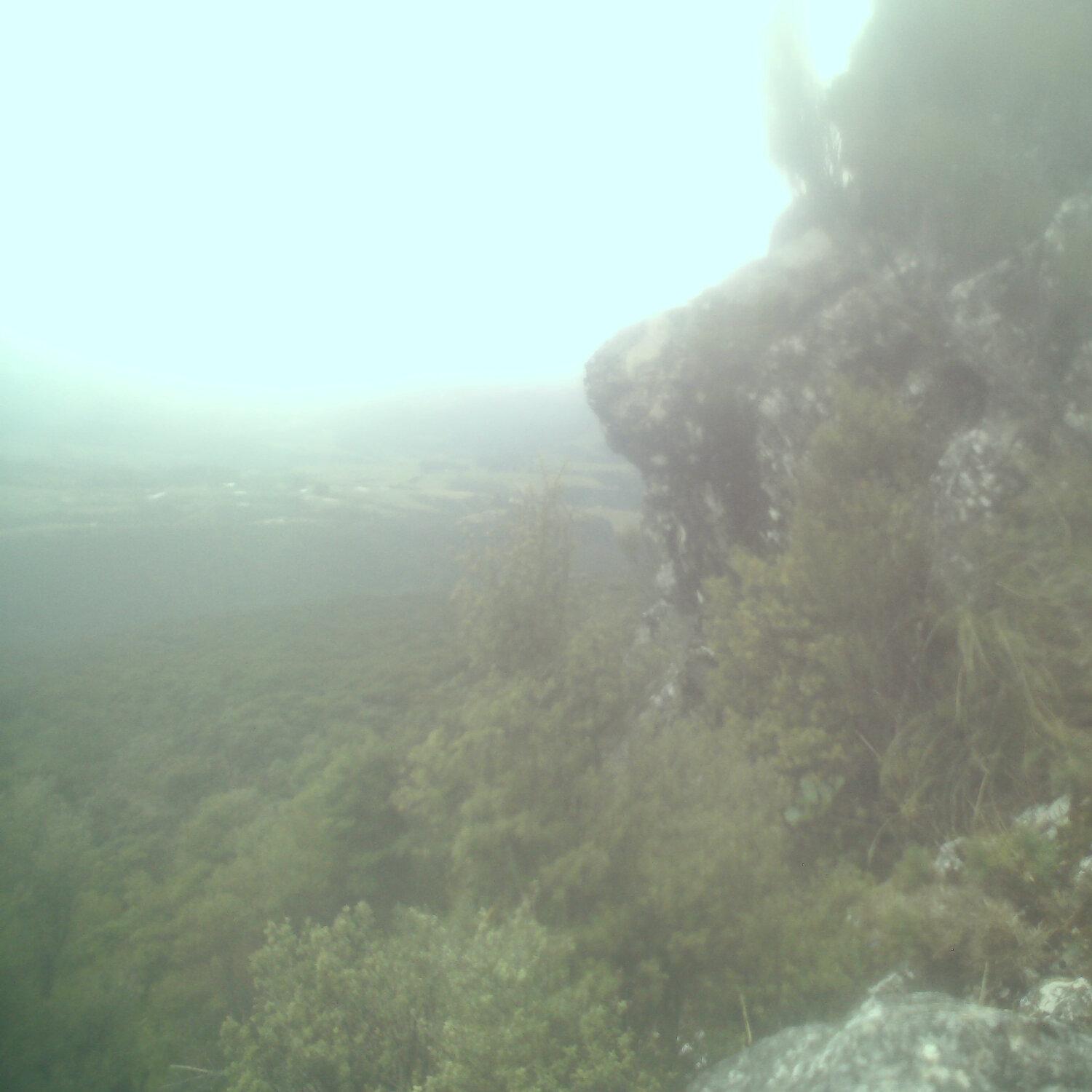 A photo captured from the webcam at the time the audio was recorded