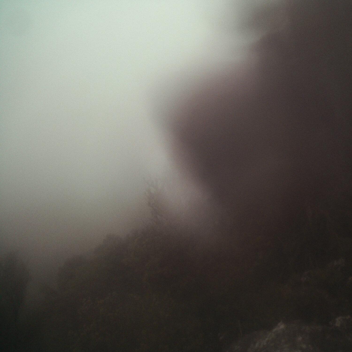 A photo captured from the webcam at the time the audio was recorded