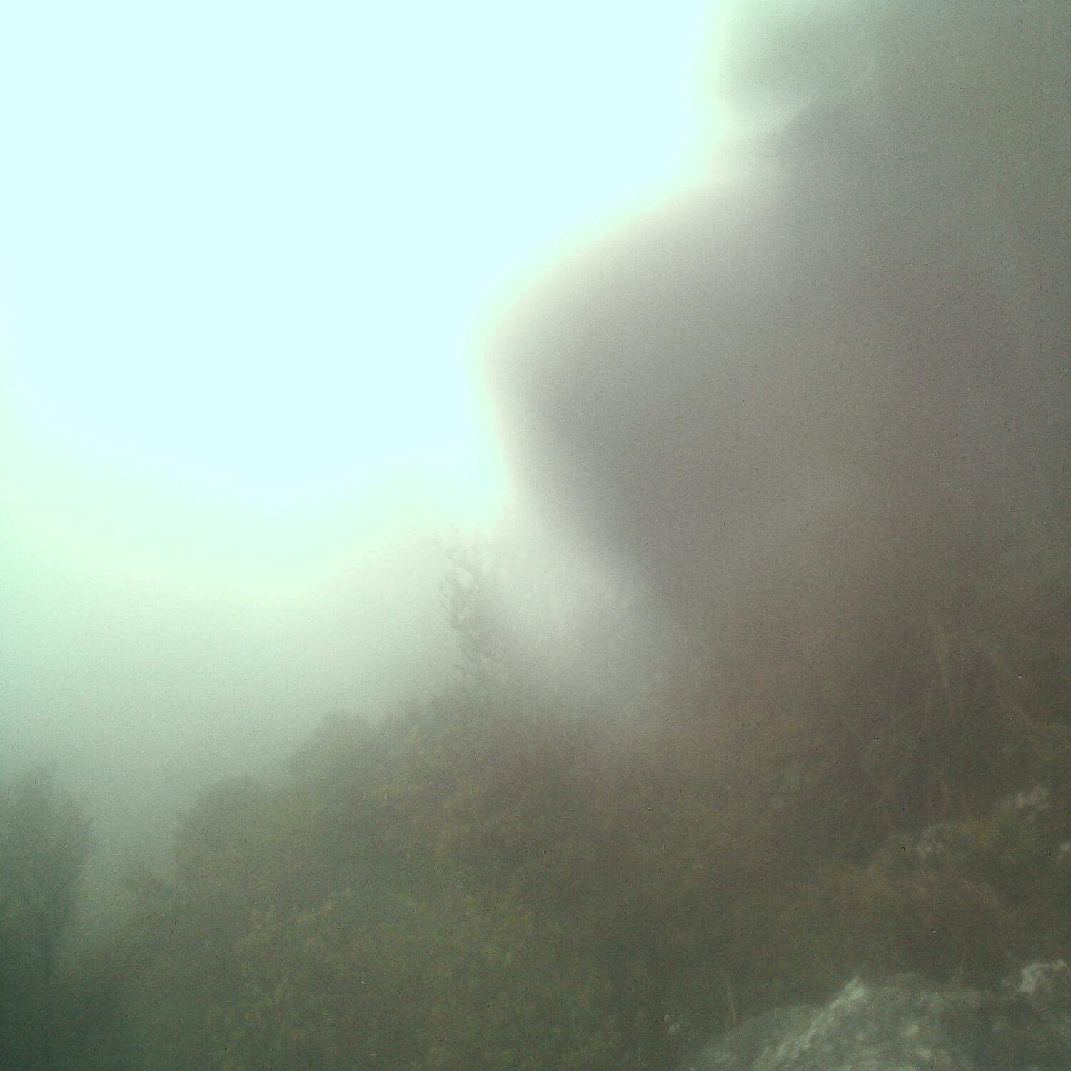 A photo captured from the webcam at the time the audio was recorded
