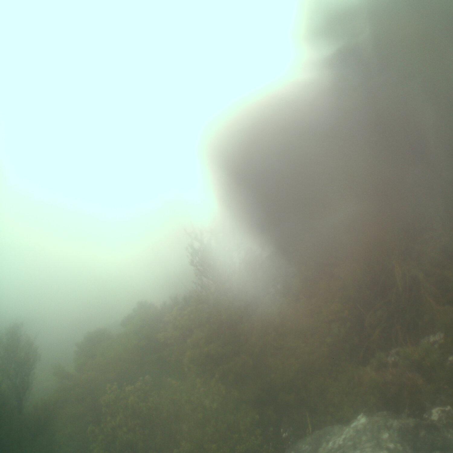 A photo captured from the webcam at the time the audio was recorded