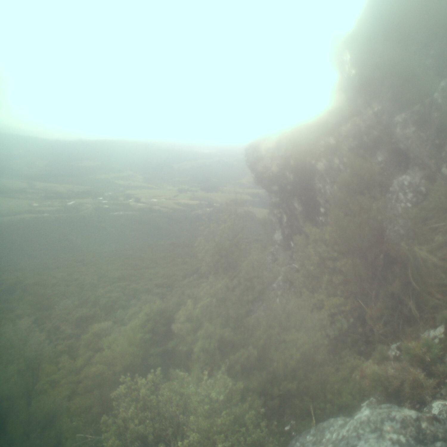 A photo captured from the webcam at the time the audio was recorded