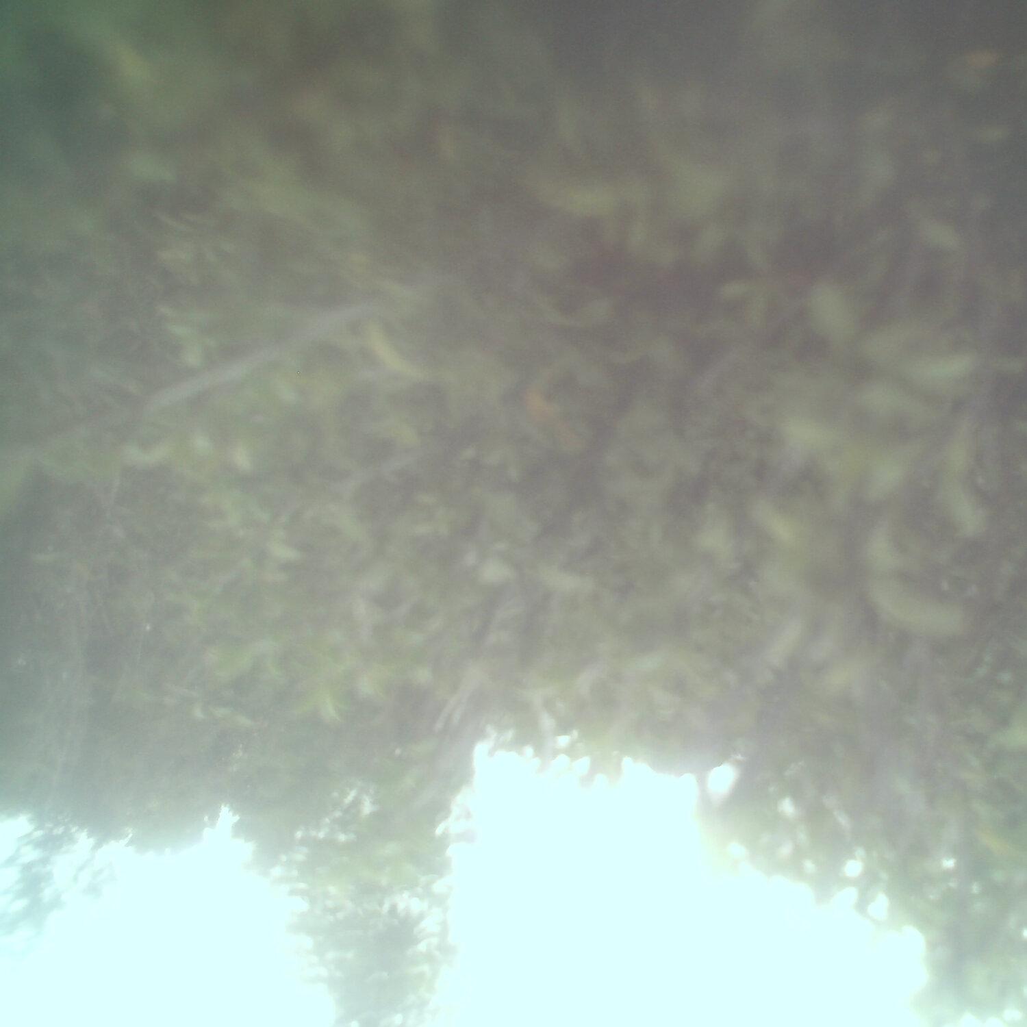 A photo captured from the webcam at the time the audio was recorded