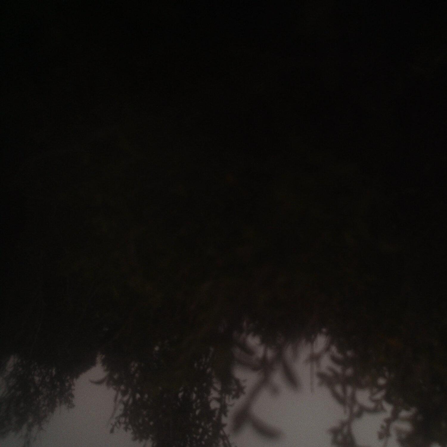 A photo captured from the webcam at the time the audio was recorded
