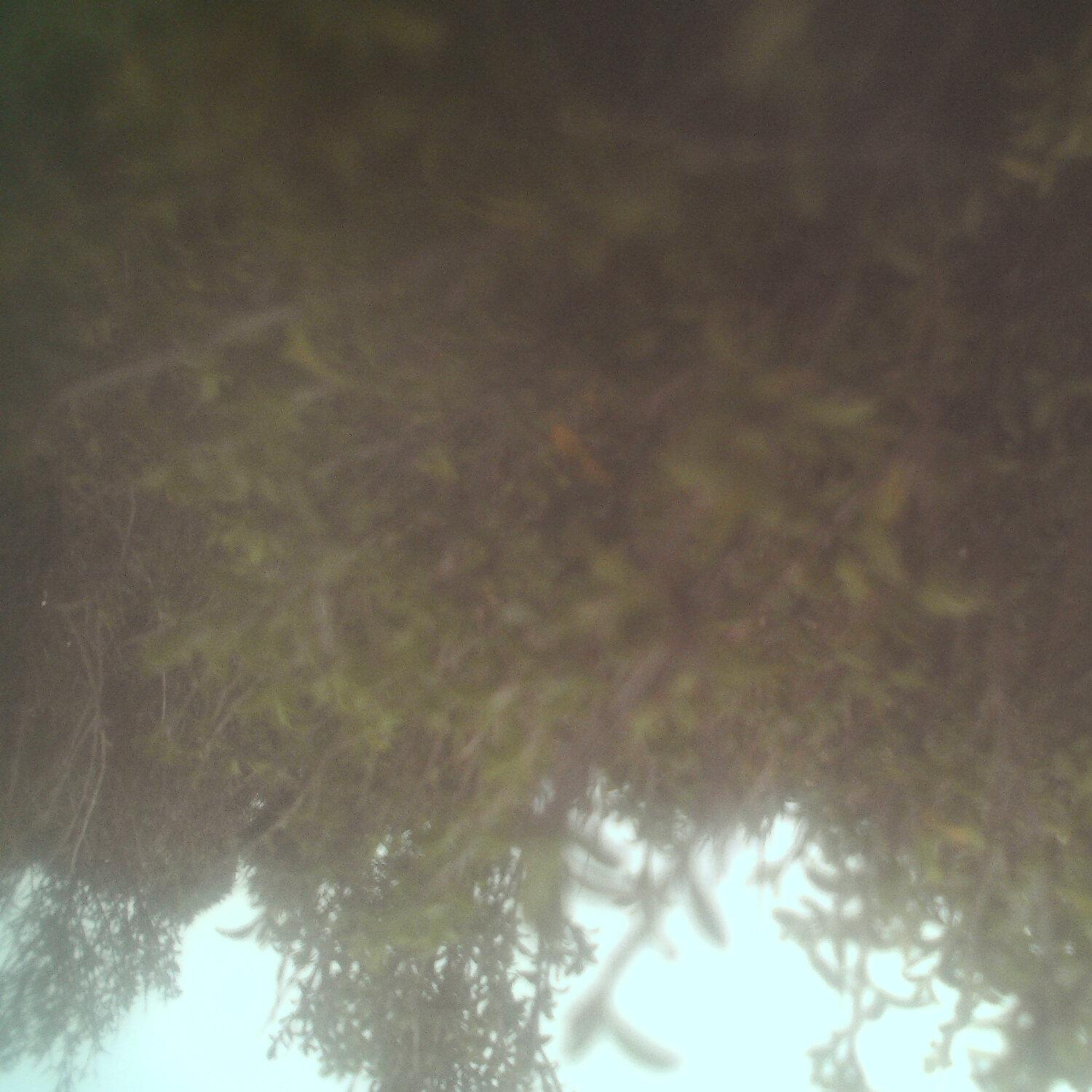 A photo captured from the webcam at the time the audio was recorded