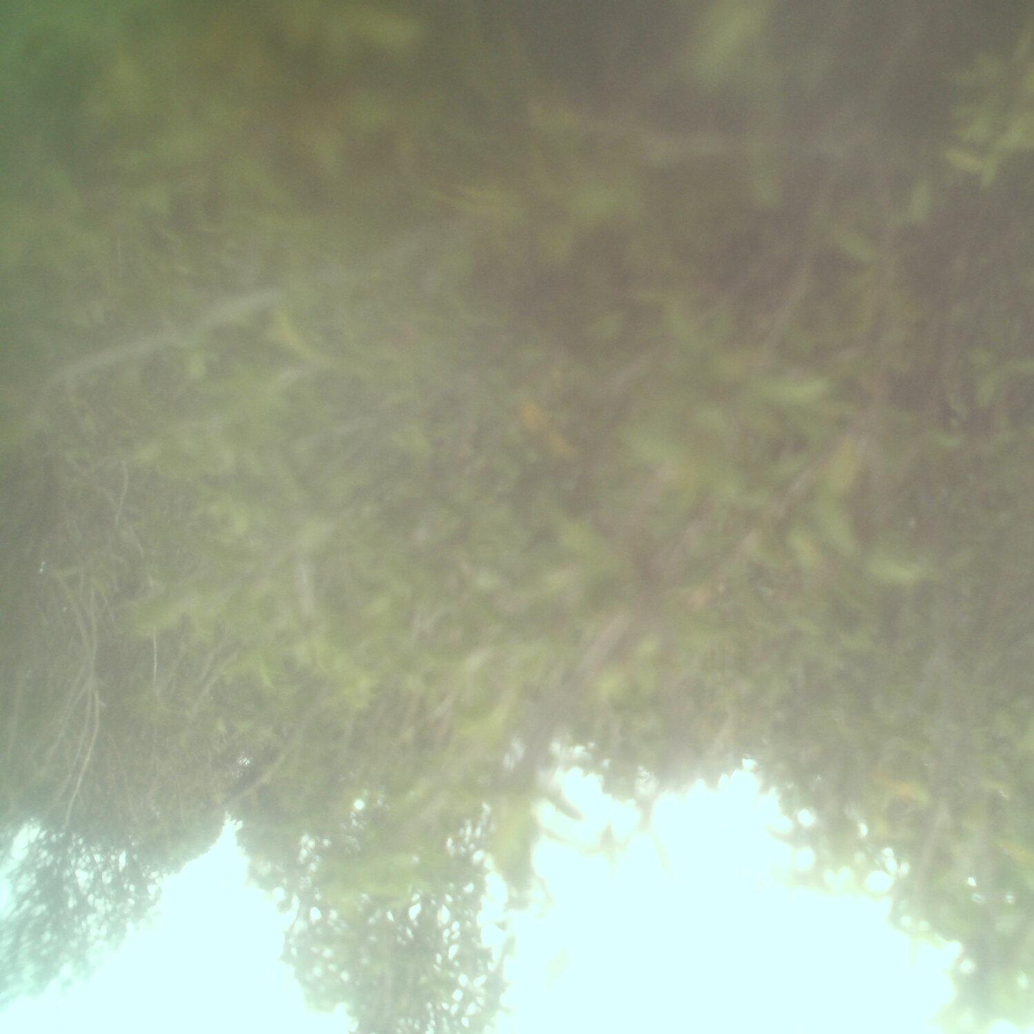 A photo captured from the webcam at the time the audio was recorded