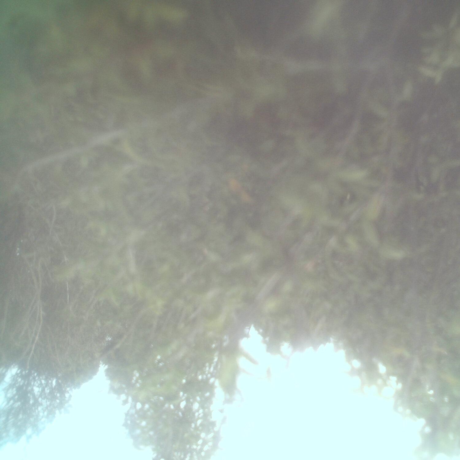 A photo captured from the webcam at the time the audio was recorded