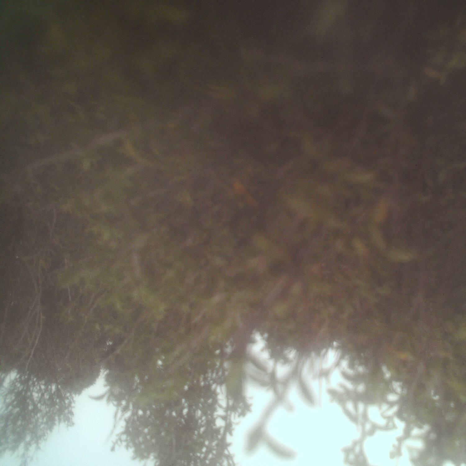 A photo captured from the webcam at the time the audio was recorded