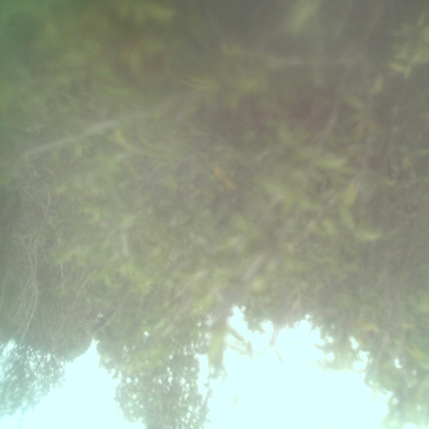 A photo captured from the webcam at the time the audio was recorded