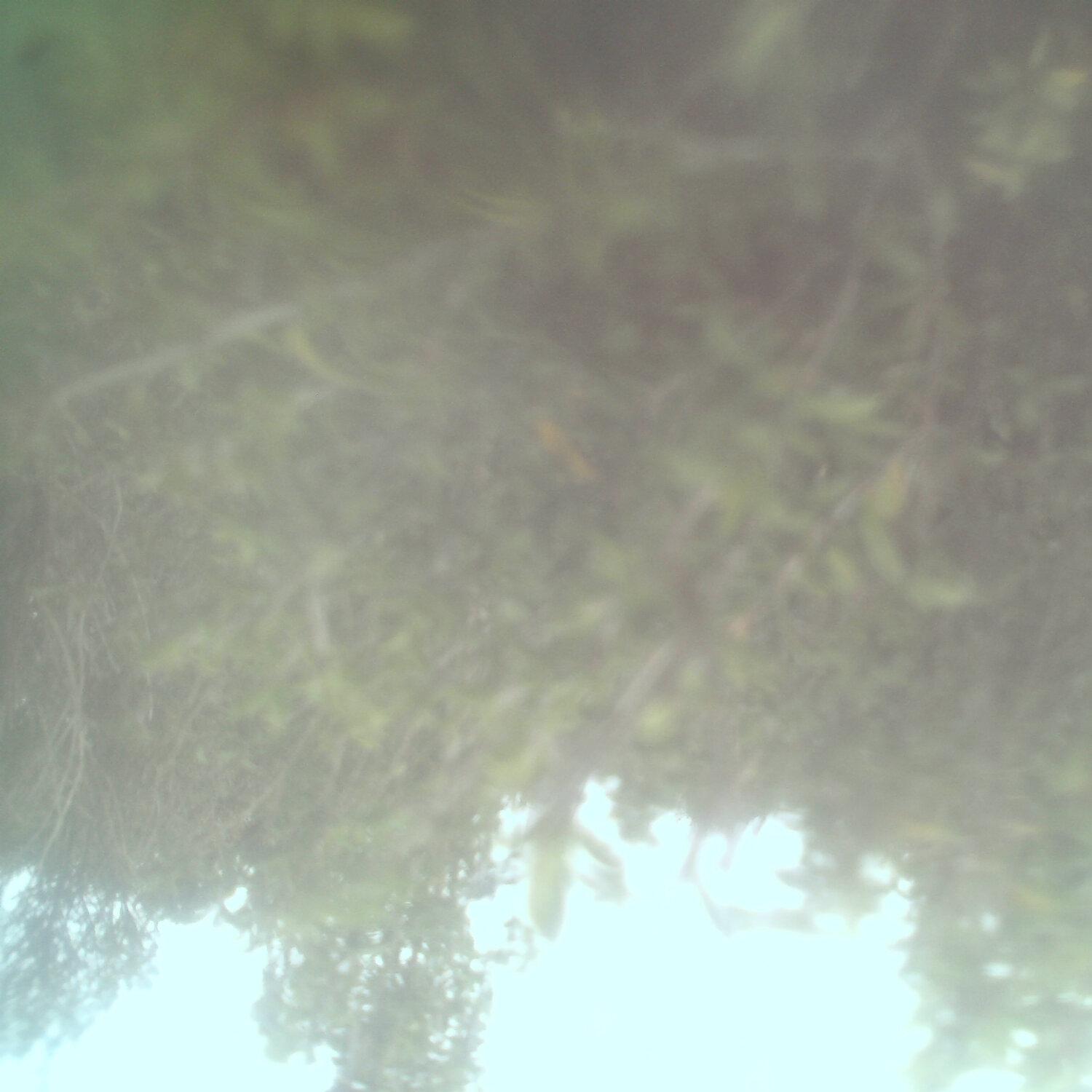 A photo captured from the webcam at the time the audio was recorded