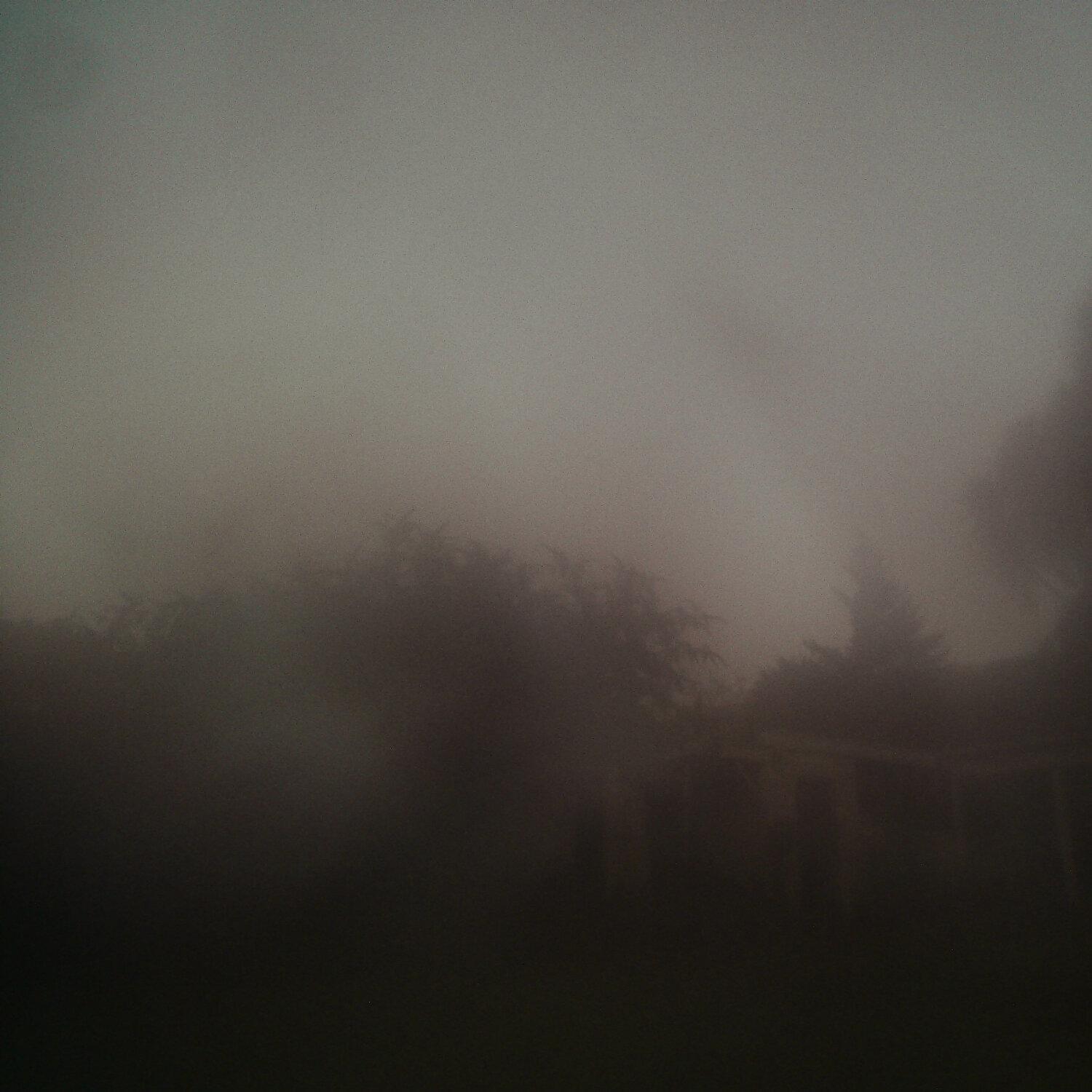 A photo captured from the webcam at the time the audio was recorded