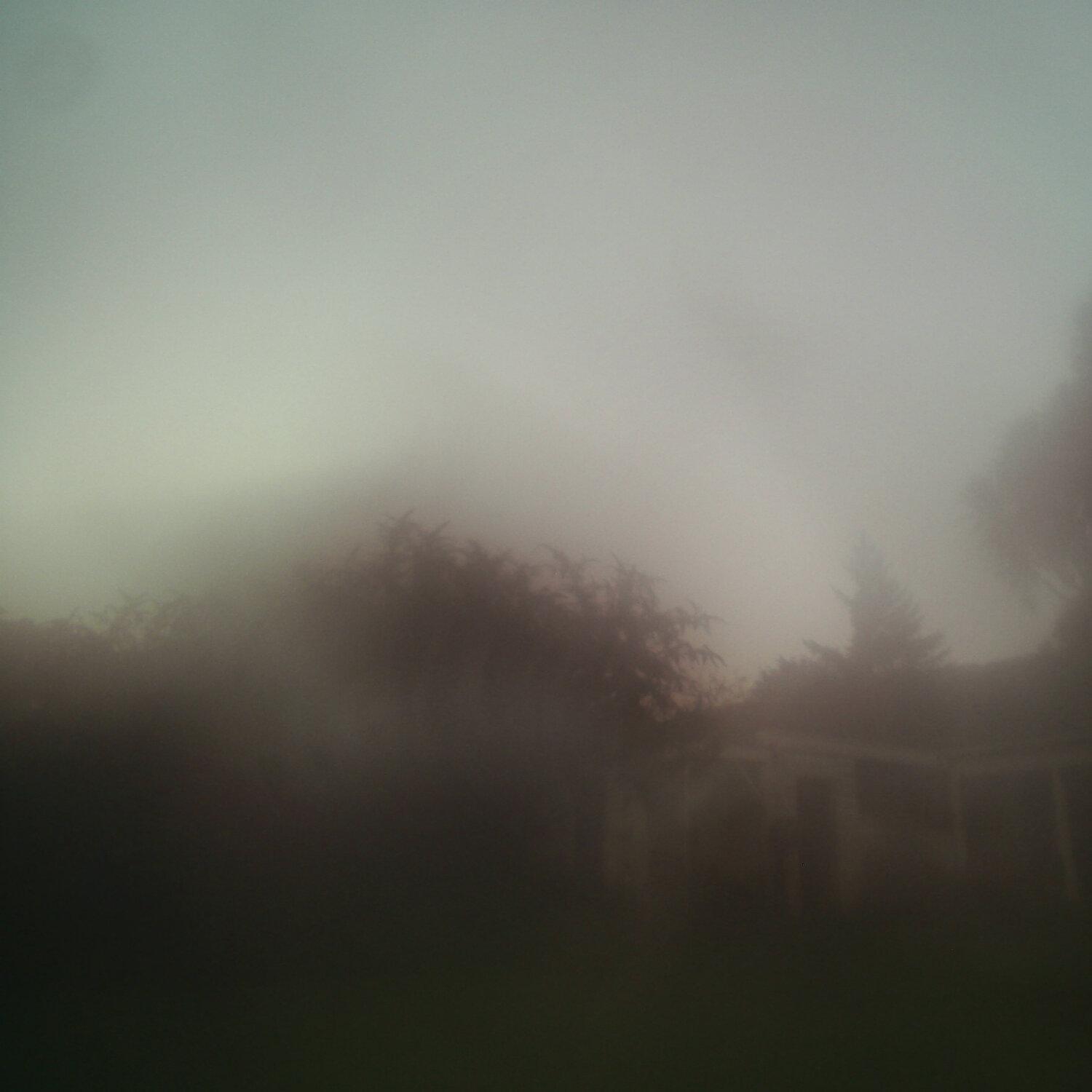 A photo captured from the webcam at the time the audio was recorded