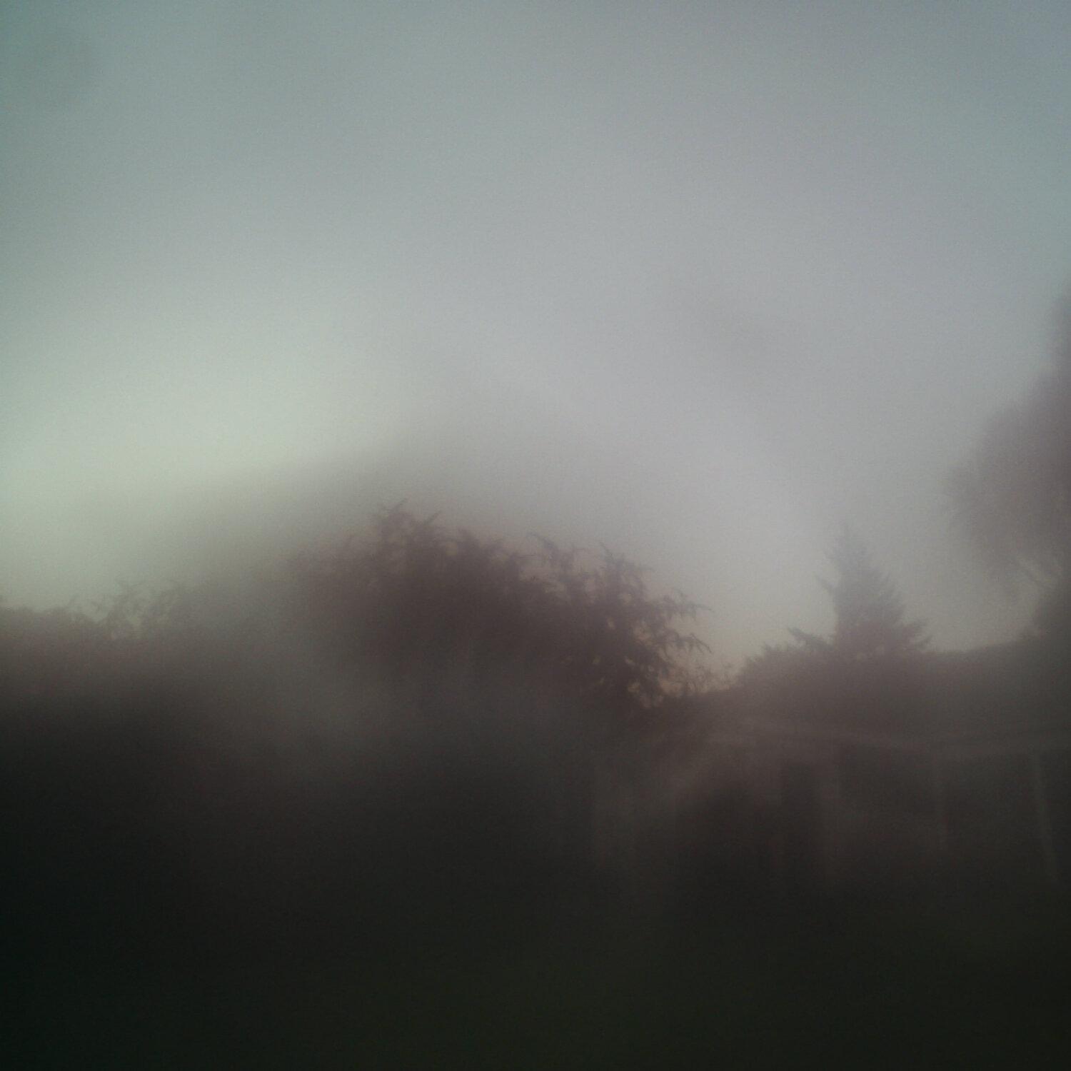 A photo captured from the webcam at the time the audio was recorded