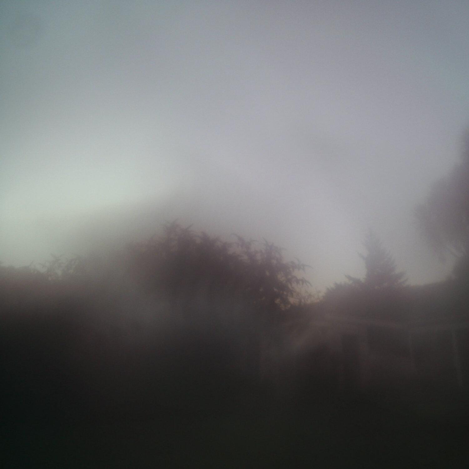 A photo captured from the webcam at the time the audio was recorded