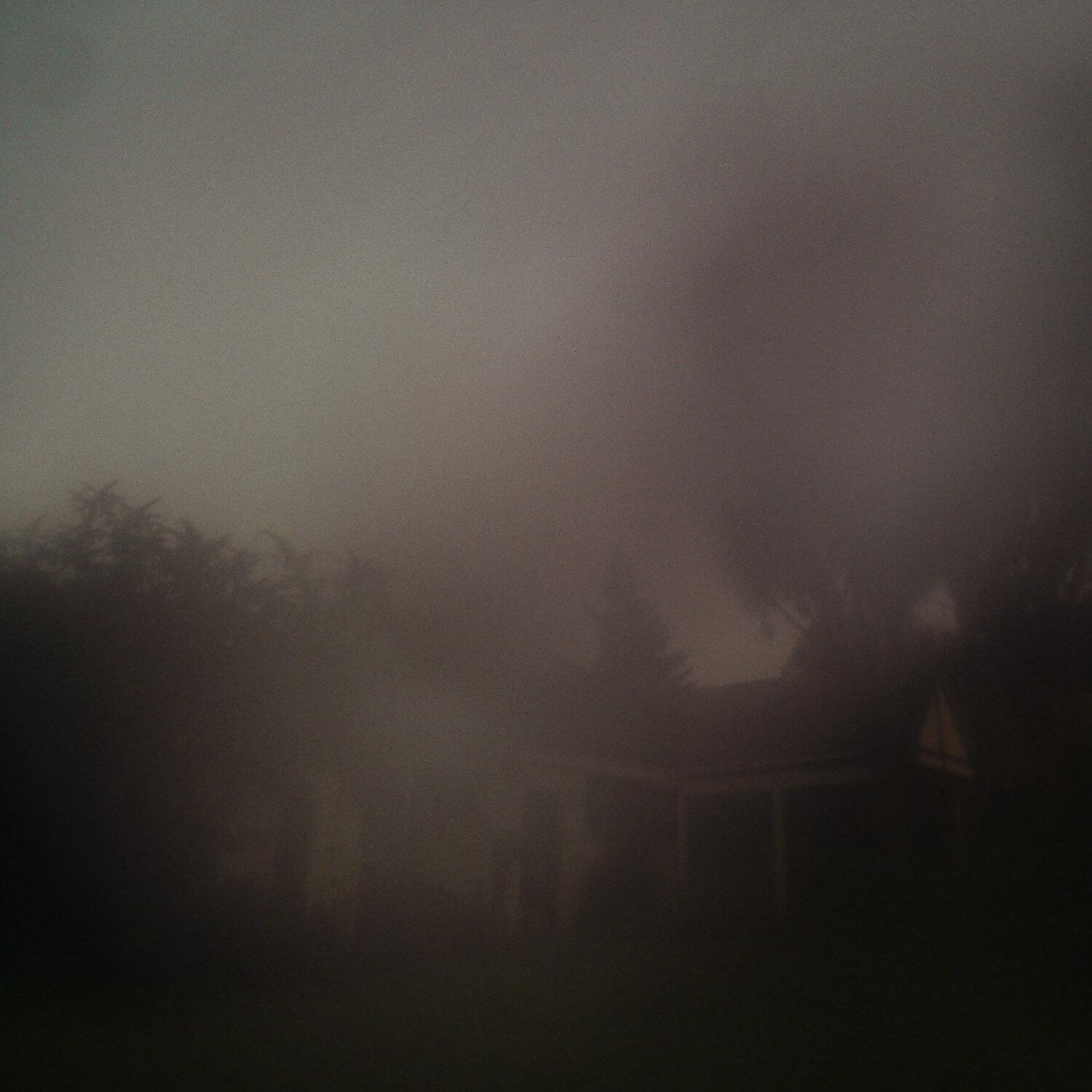 A photo captured from the webcam at the time the audio was recorded