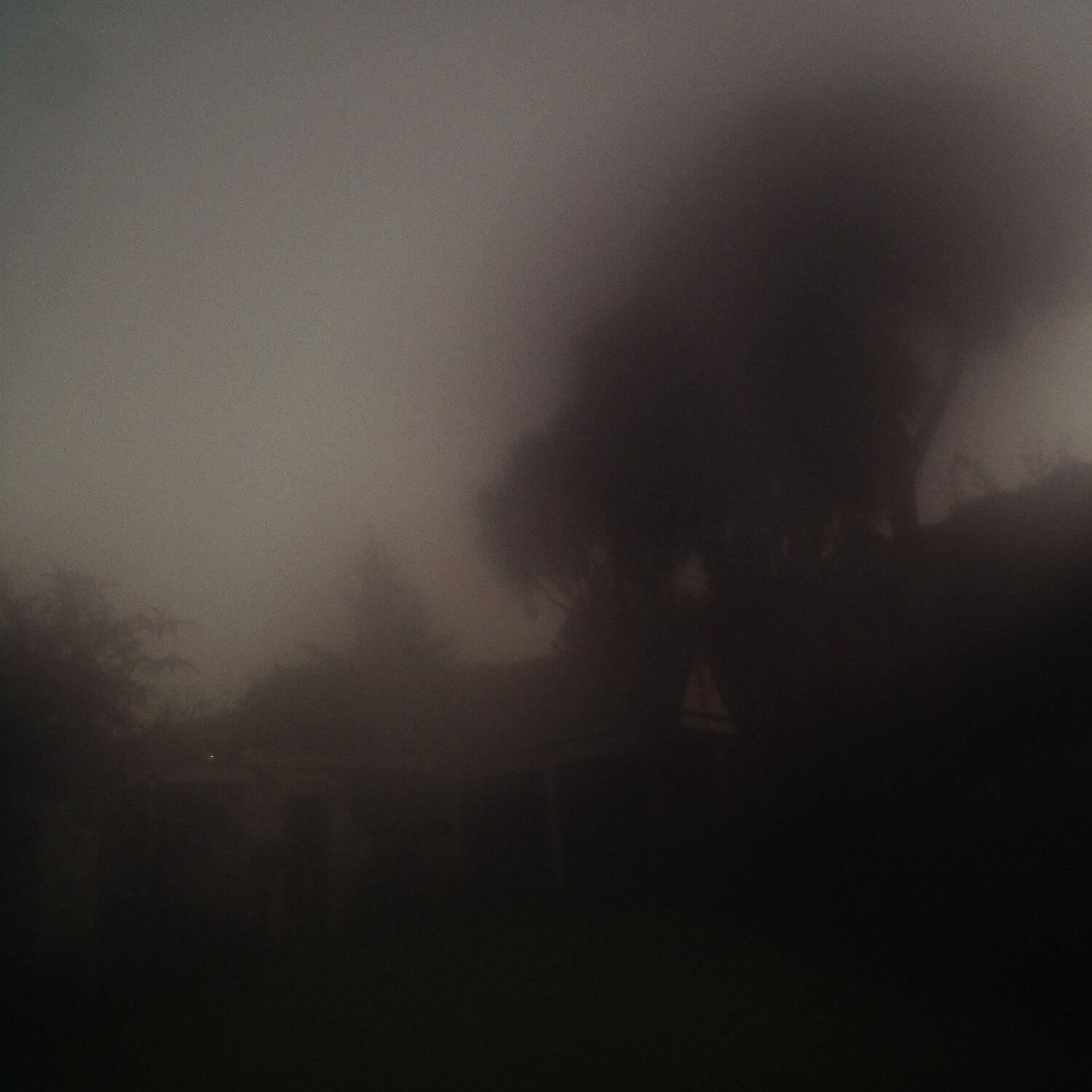 A photo captured from the webcam at the time the audio was recorded