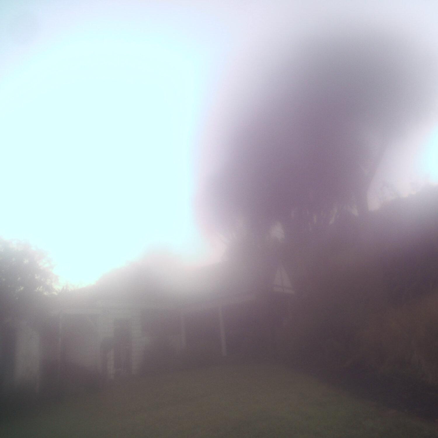 A photo captured from the webcam at the time the audio was recorded