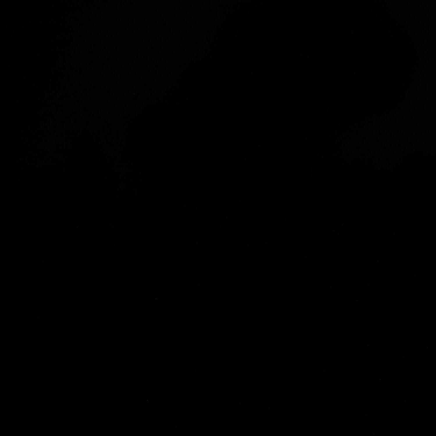 A photo captured from the webcam at the time the audio was recorded