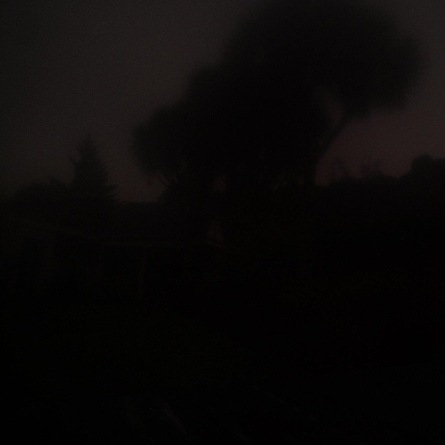 A photo captured from the webcam at the time the audio was recorded