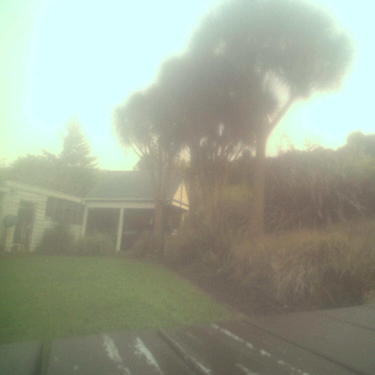 A photo captured from the webcam at the time the audio was recorded