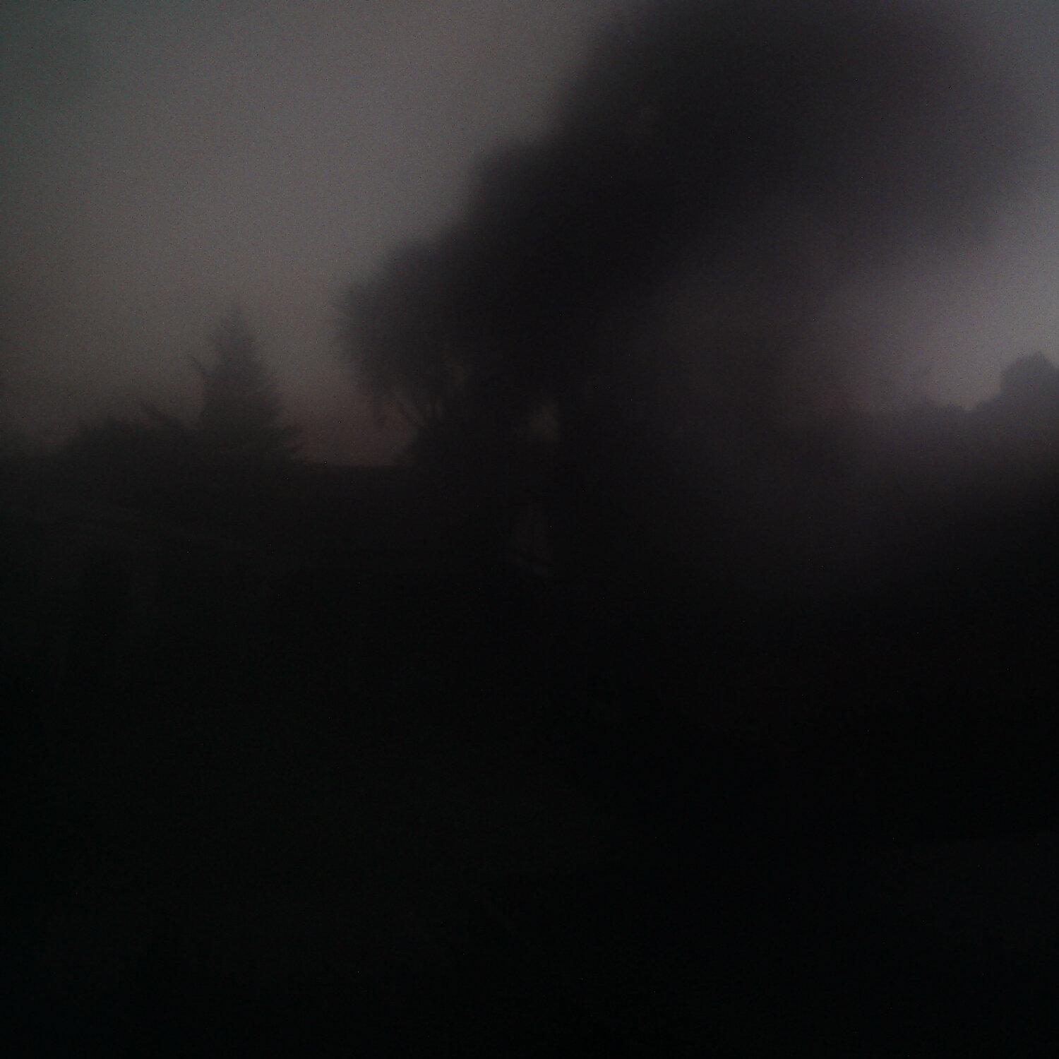A photo captured from the webcam at the time the audio was recorded