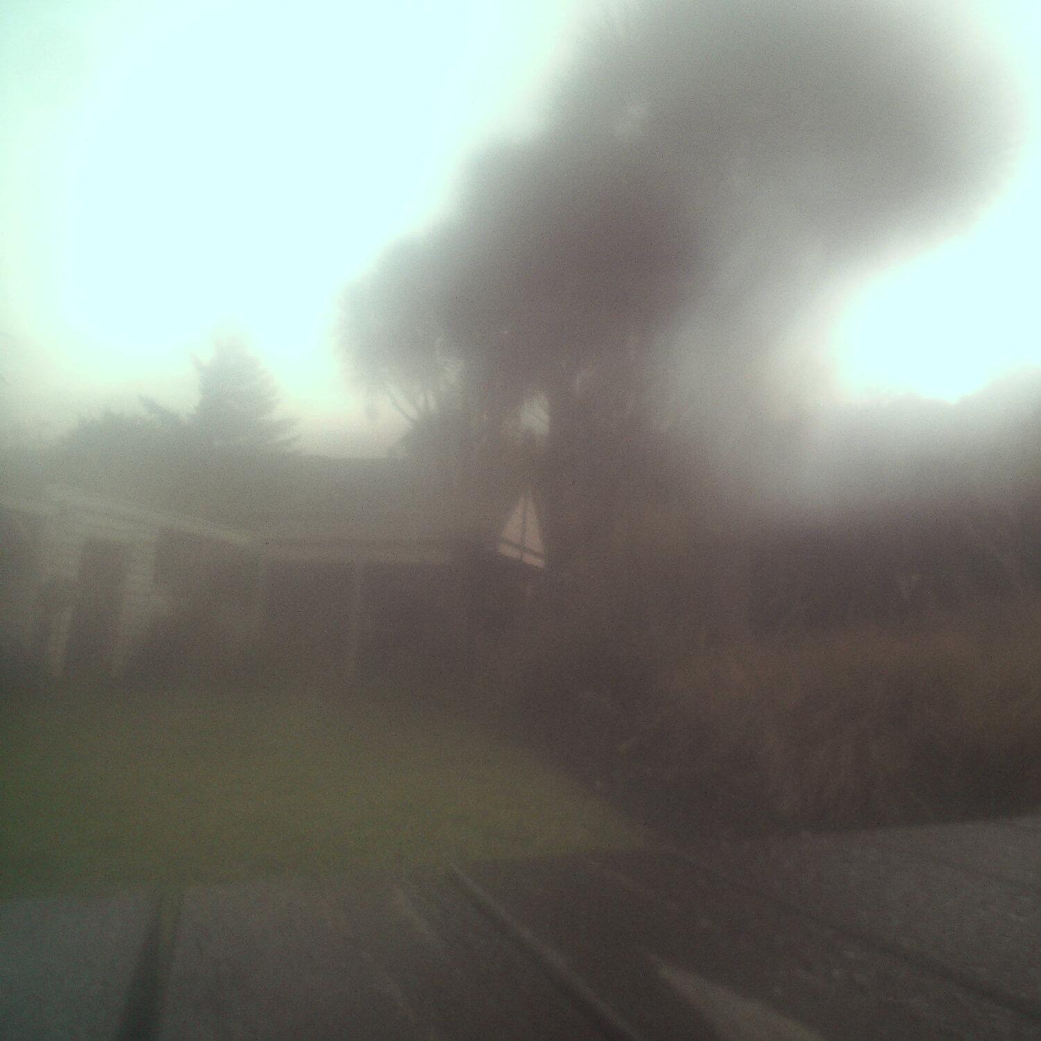 A photo captured from the webcam at the time the audio was recorded