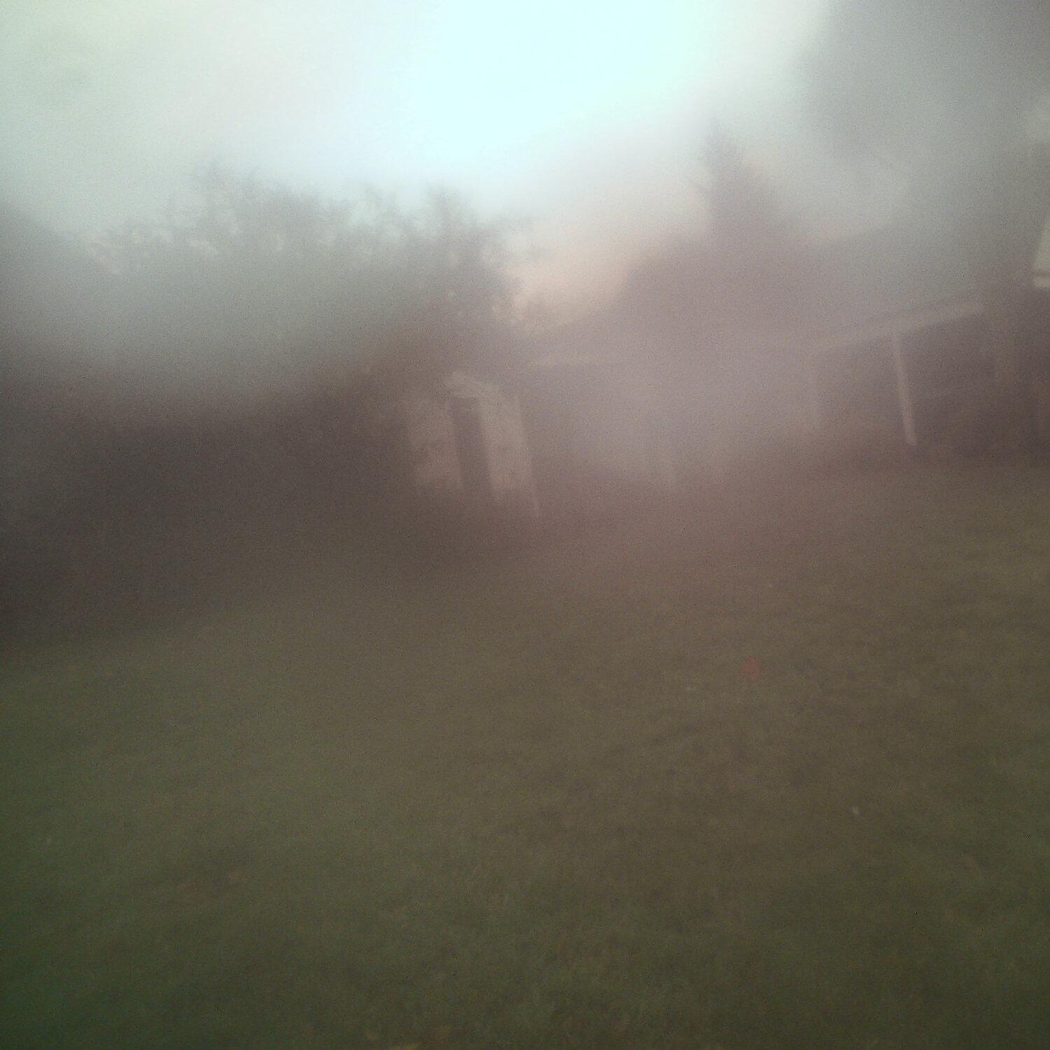 A photo captured from the webcam at the time the audio was recorded