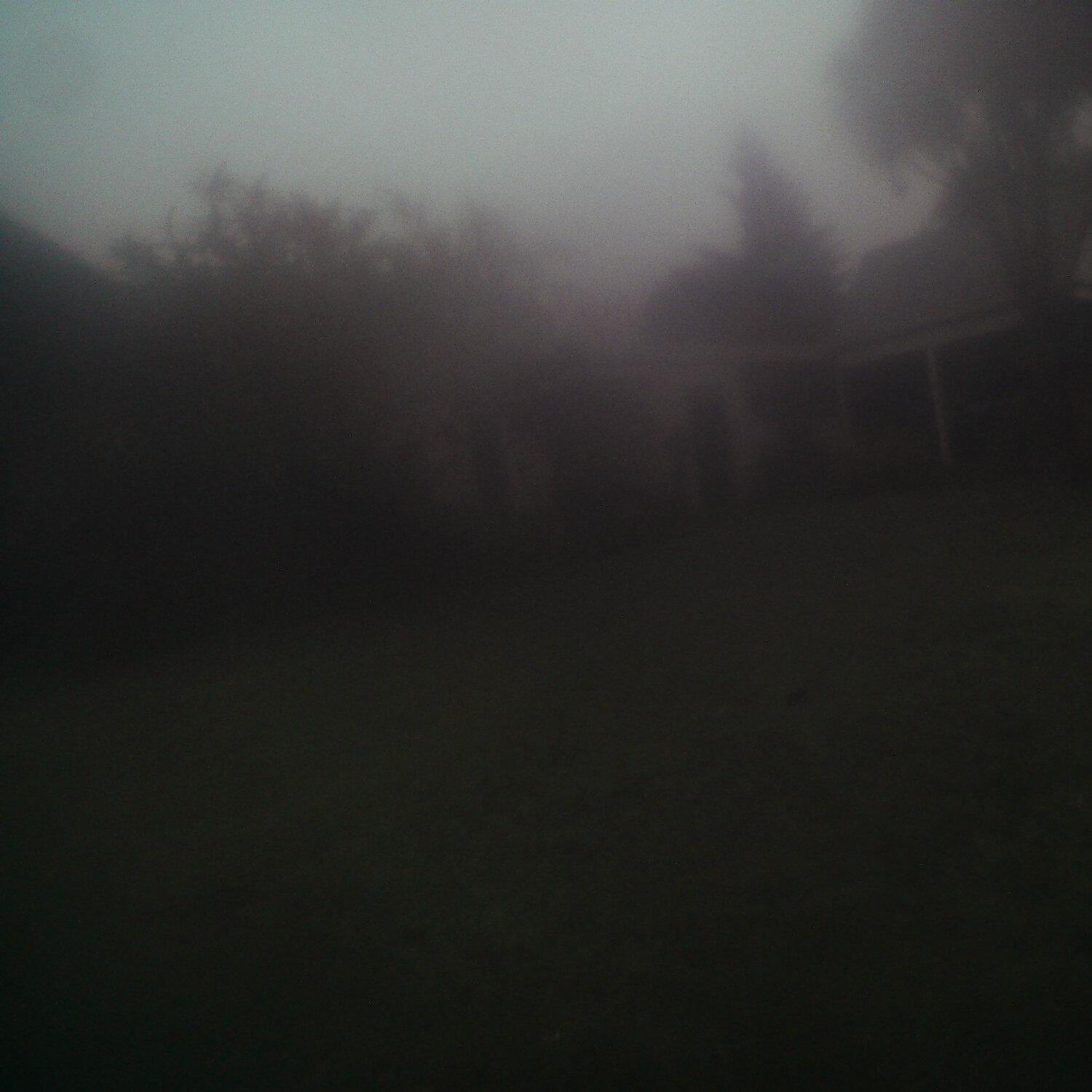 A photo captured from the webcam at the time the audio was recorded