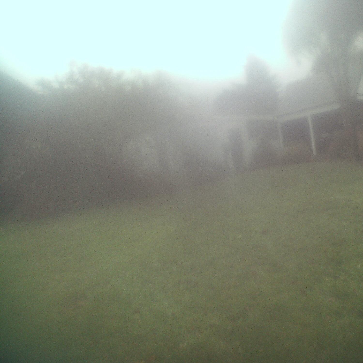 A photo captured from the webcam at the time the audio was recorded