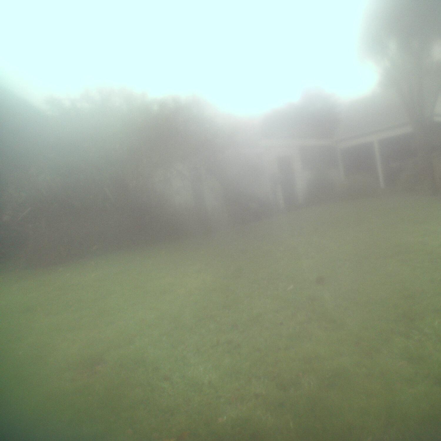 A photo captured from the webcam at the time the audio was recorded