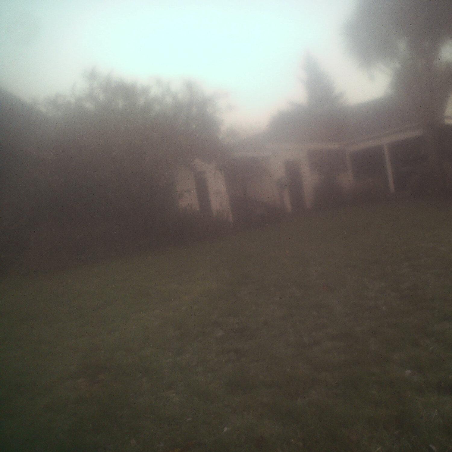 A photo captured from the webcam at the time the audio was recorded