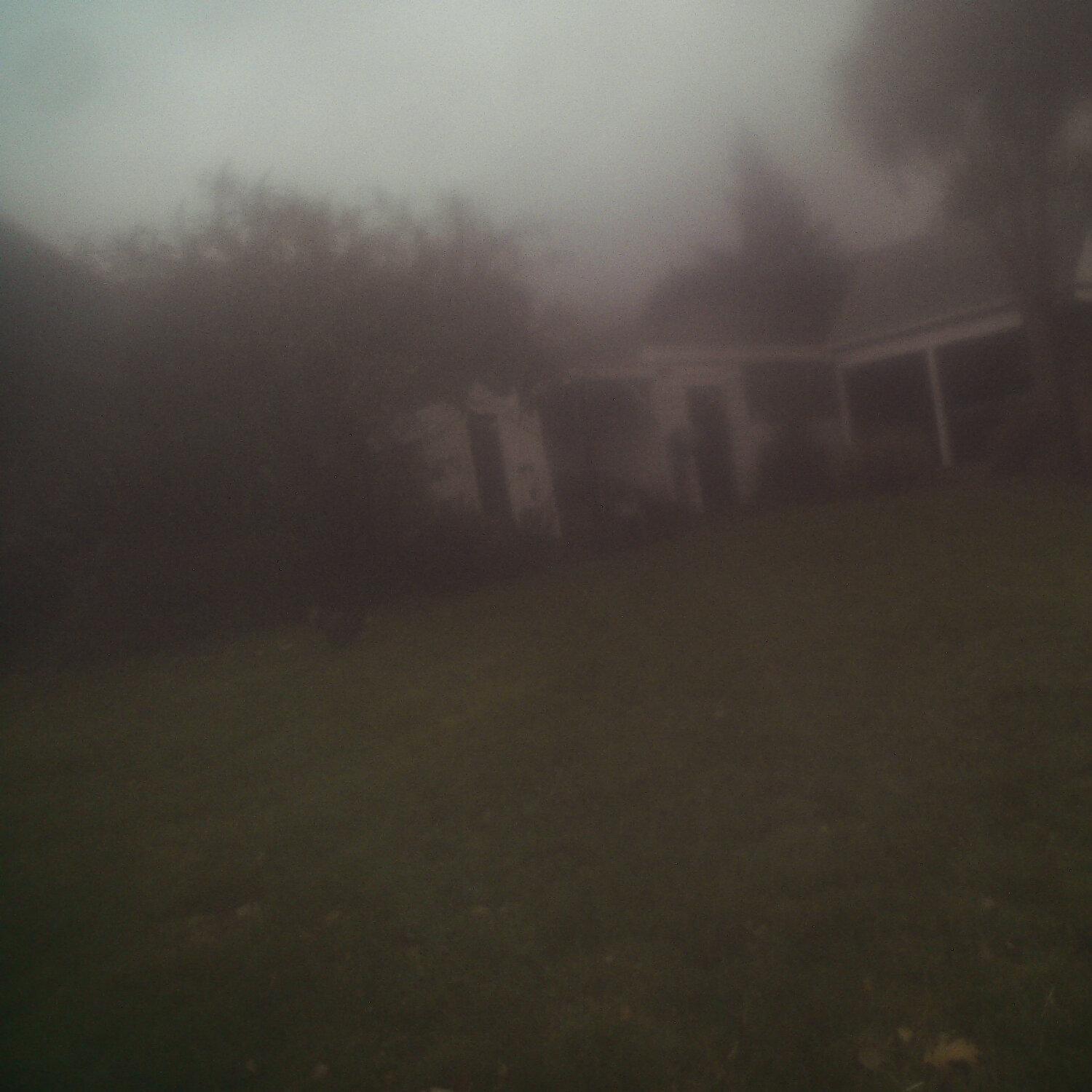 A photo captured from the webcam at the time the audio was recorded