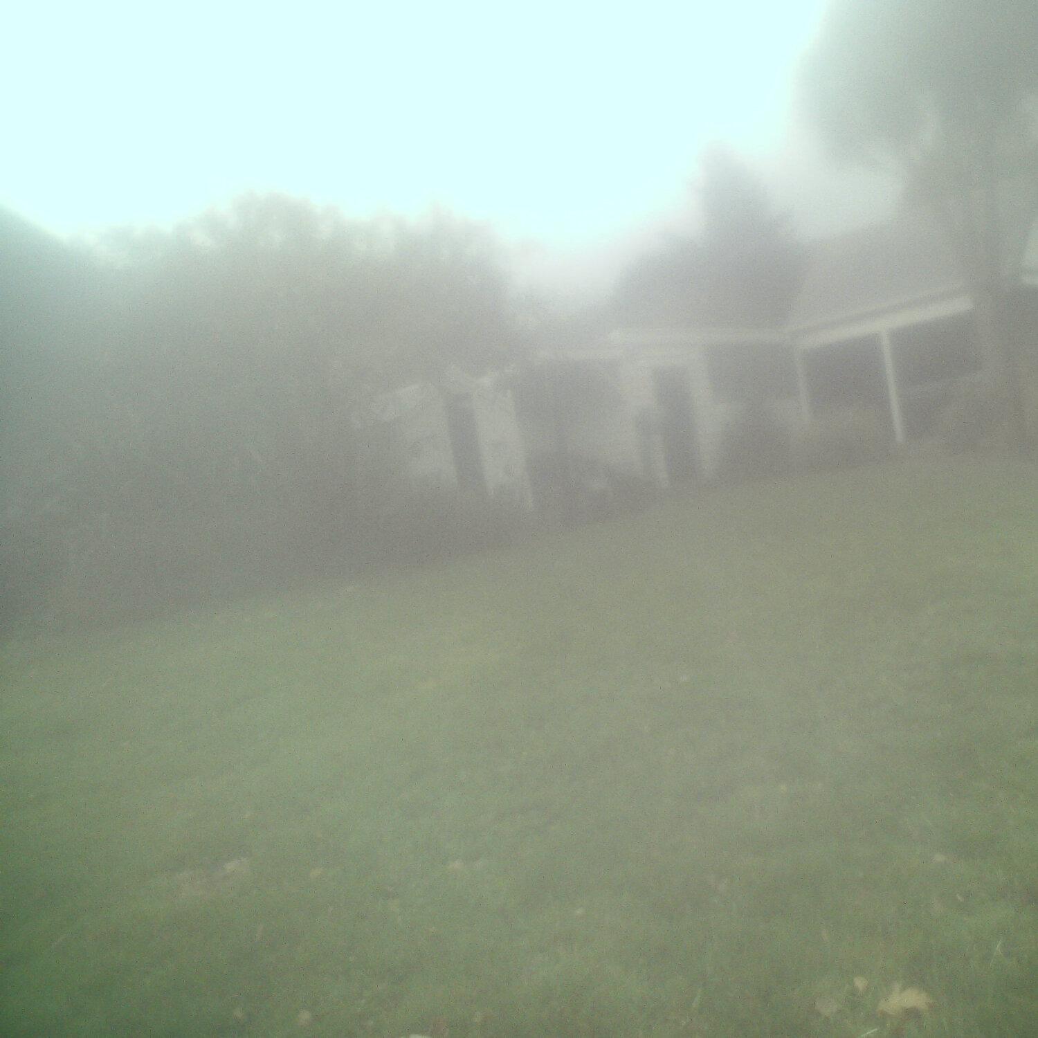 A photo captured from the webcam at the time the audio was recorded