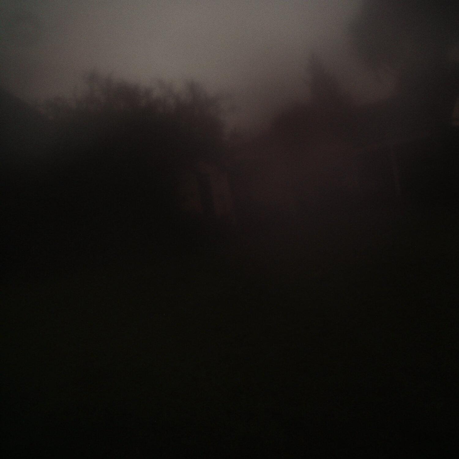 A photo captured from the webcam at the time the audio was recorded
