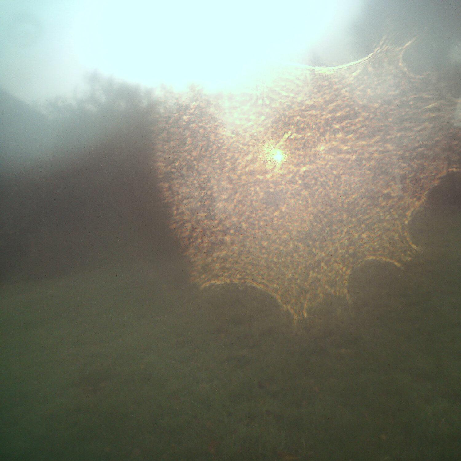 A photo captured from the webcam at the time the audio was recorded