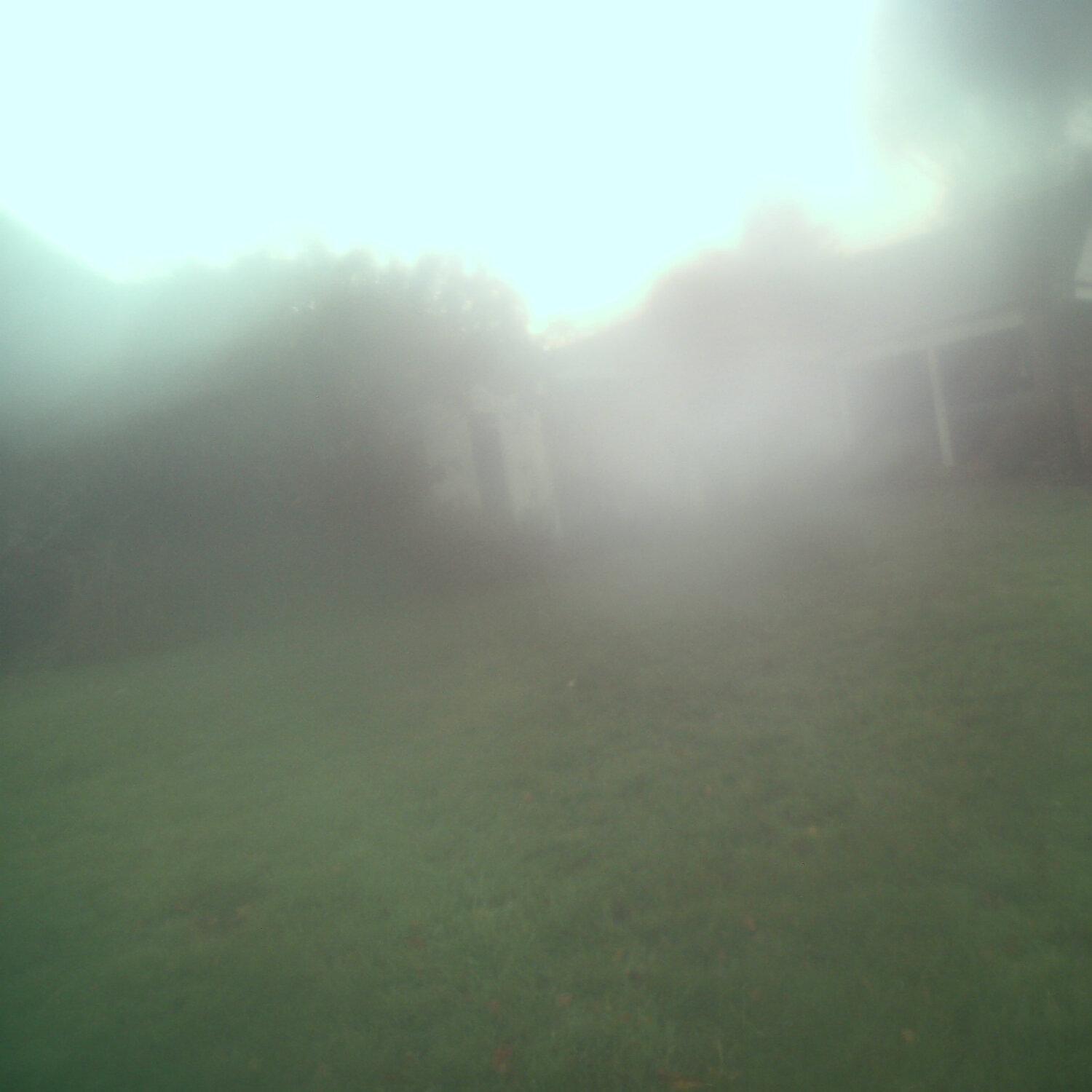 A photo captured from the webcam at the time the audio was recorded