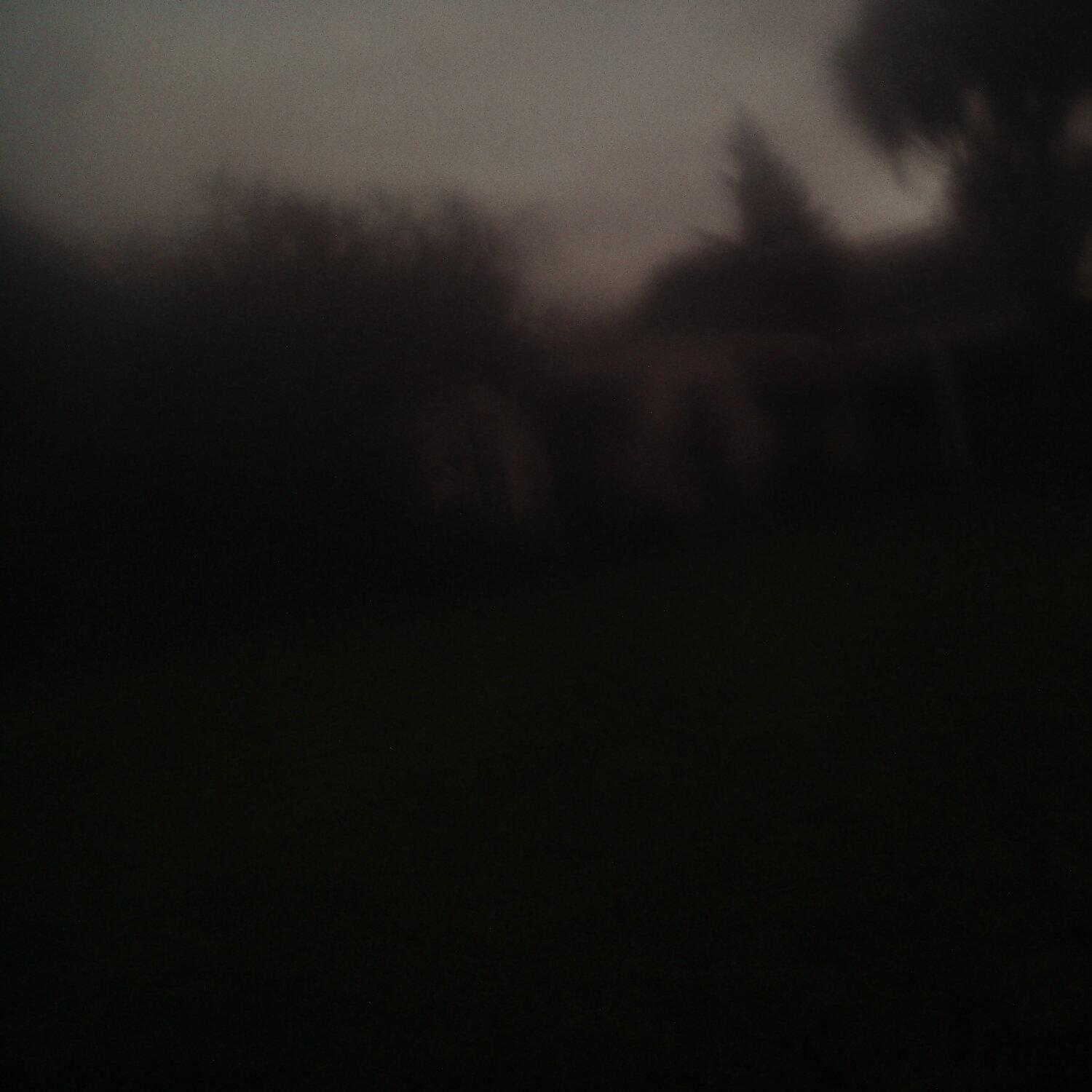 A photo captured from the webcam at the time the audio was recorded