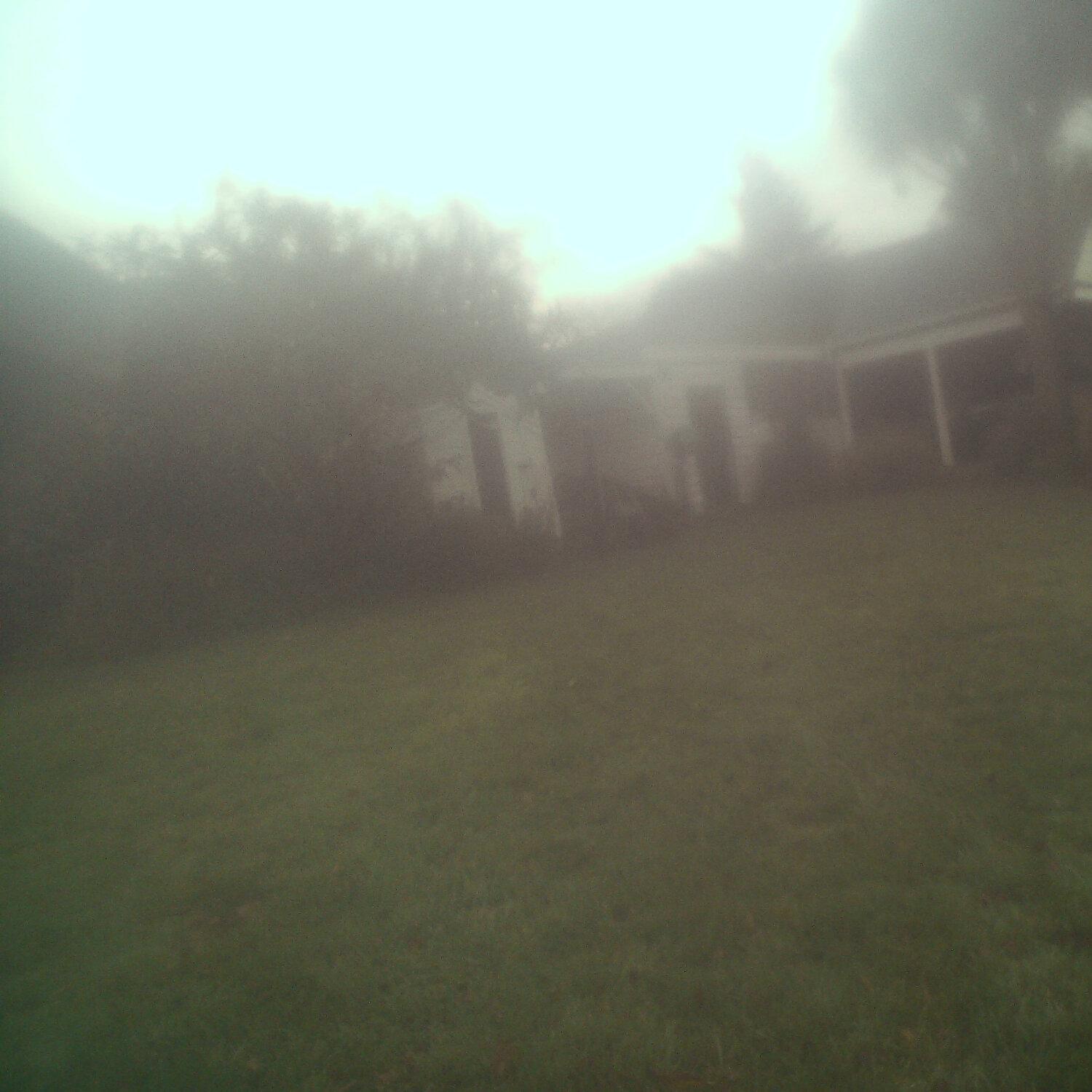 A photo captured from the webcam at the time the audio was recorded