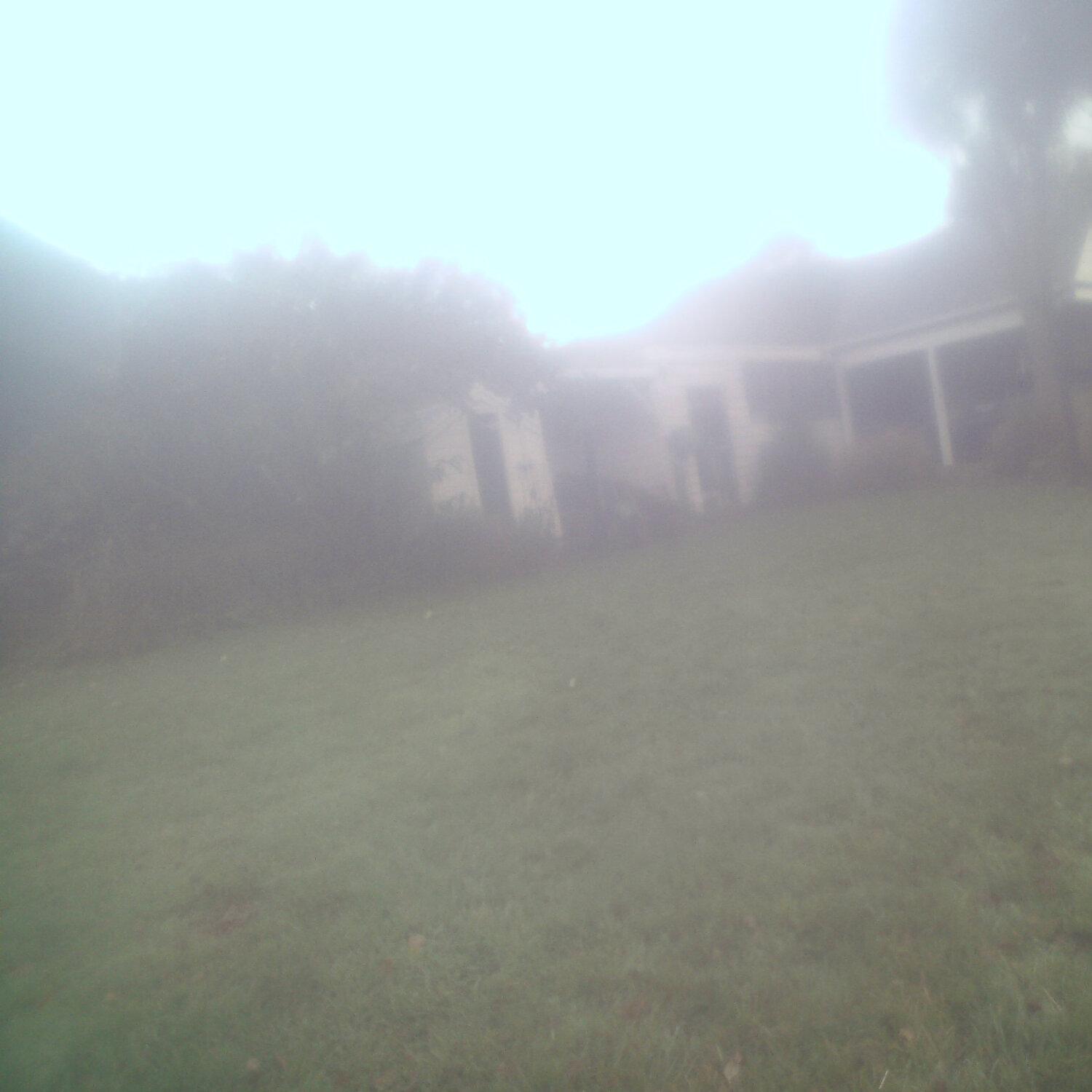 A photo captured from the webcam at the time the audio was recorded