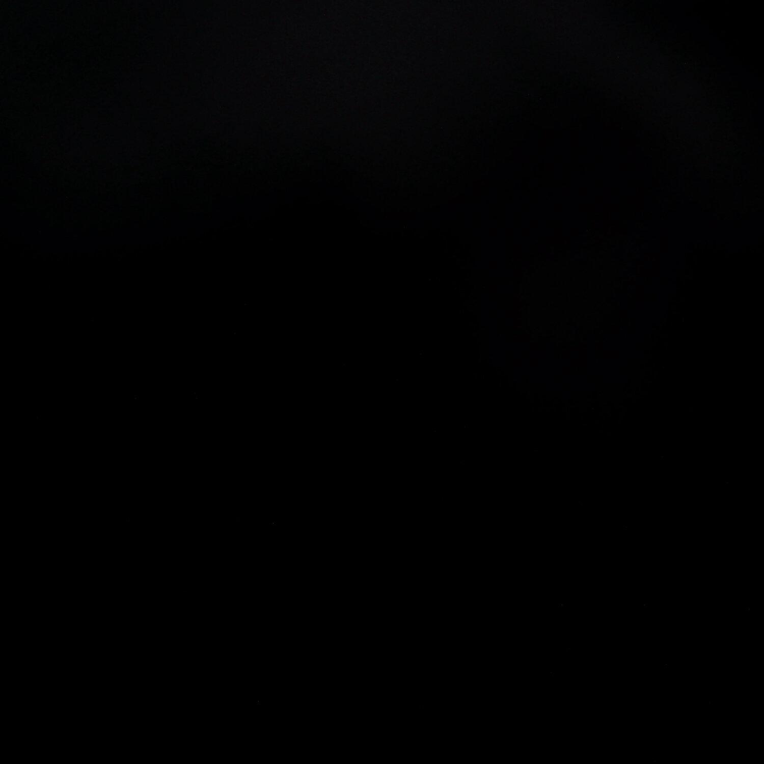A photo captured from the webcam at the time the audio was recorded