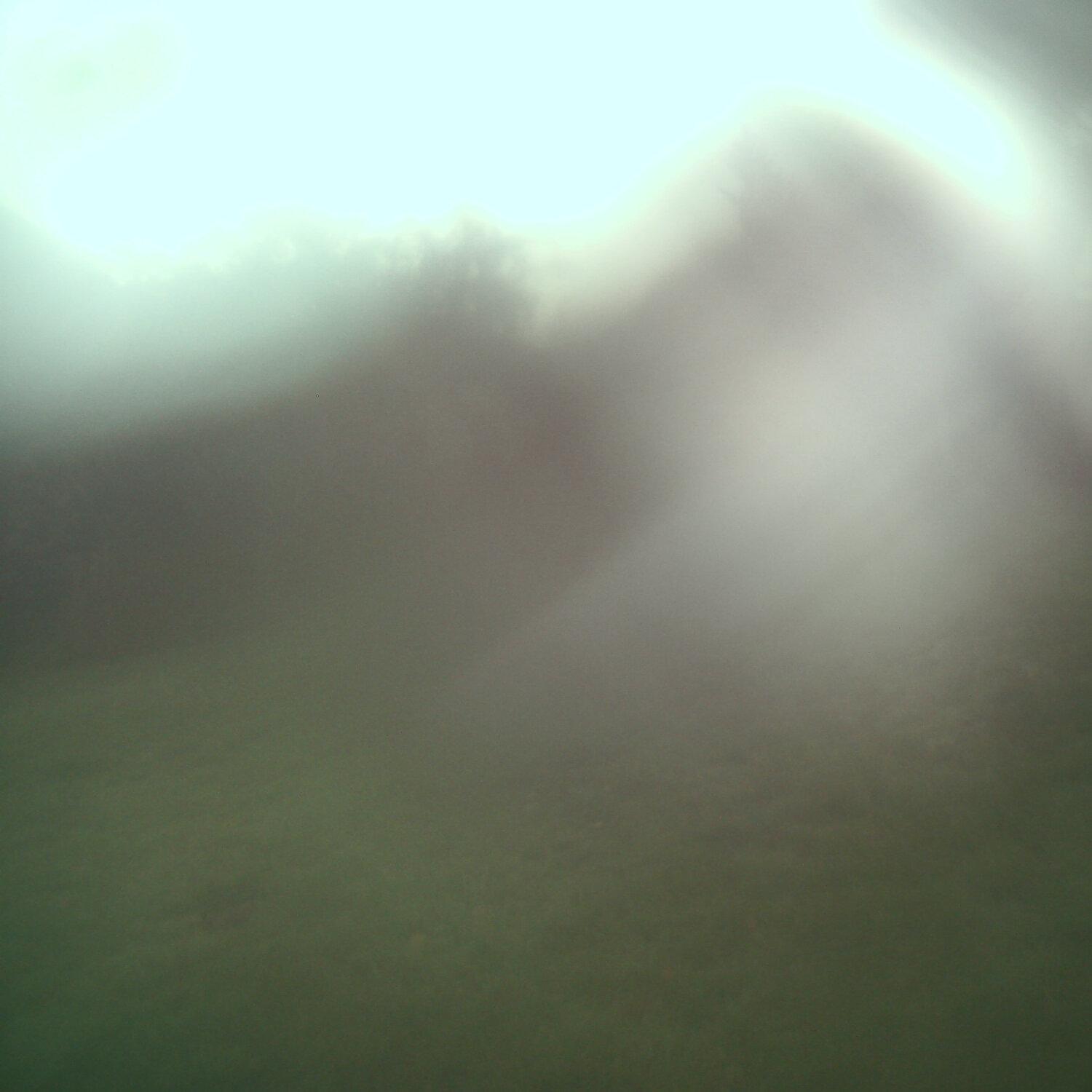 A photo captured from the webcam at the time the audio was recorded