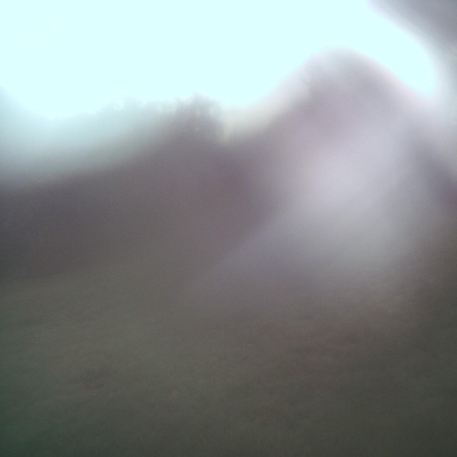 A photo captured from the webcam at the time the audio was recorded