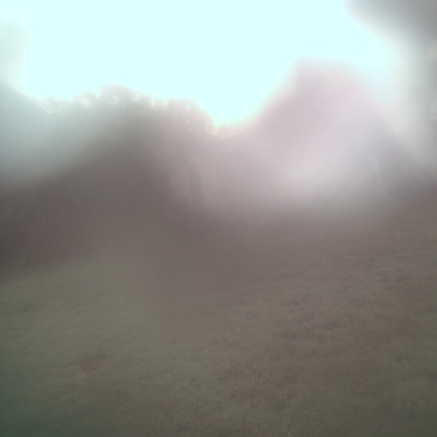 A photo captured from the webcam at the time the audio was recorded