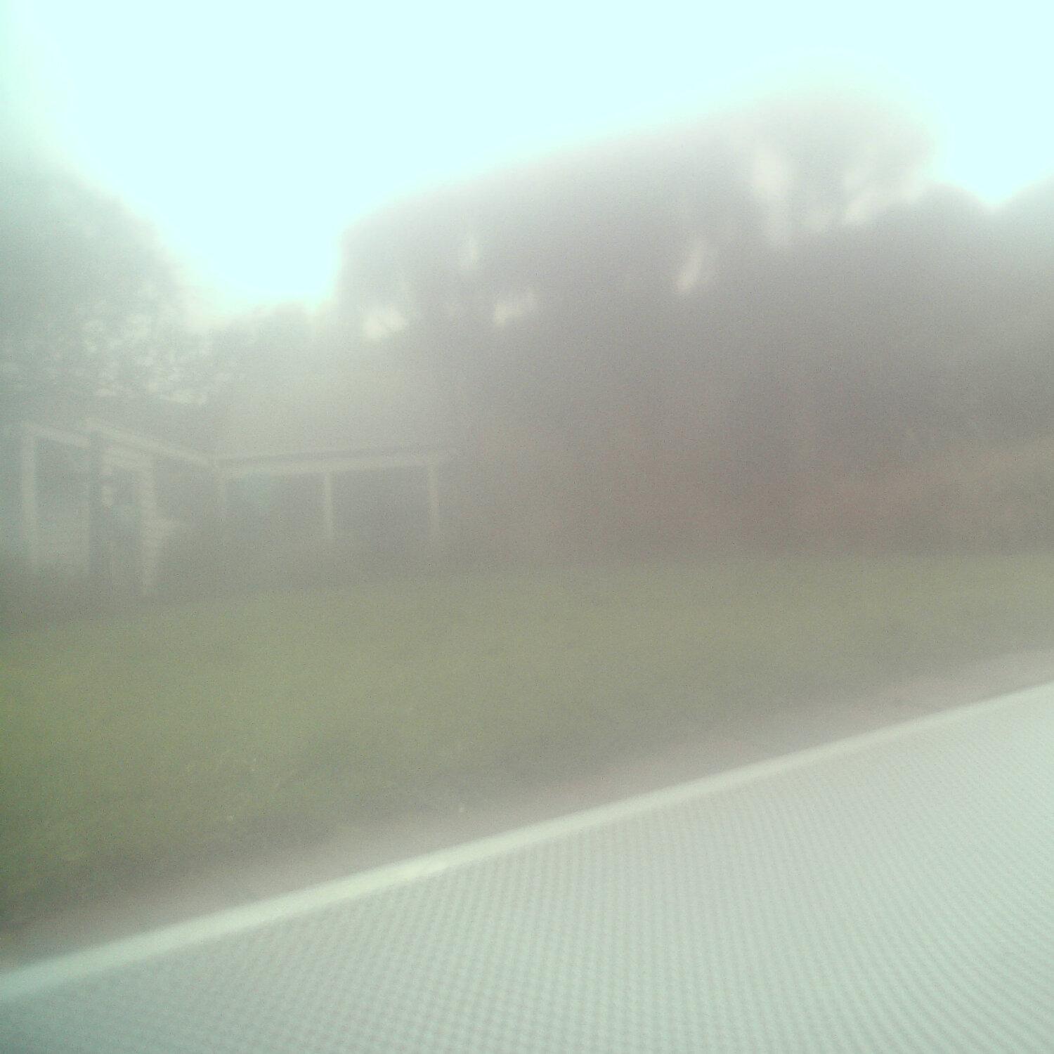 A photo captured from the webcam at the time the audio was recorded